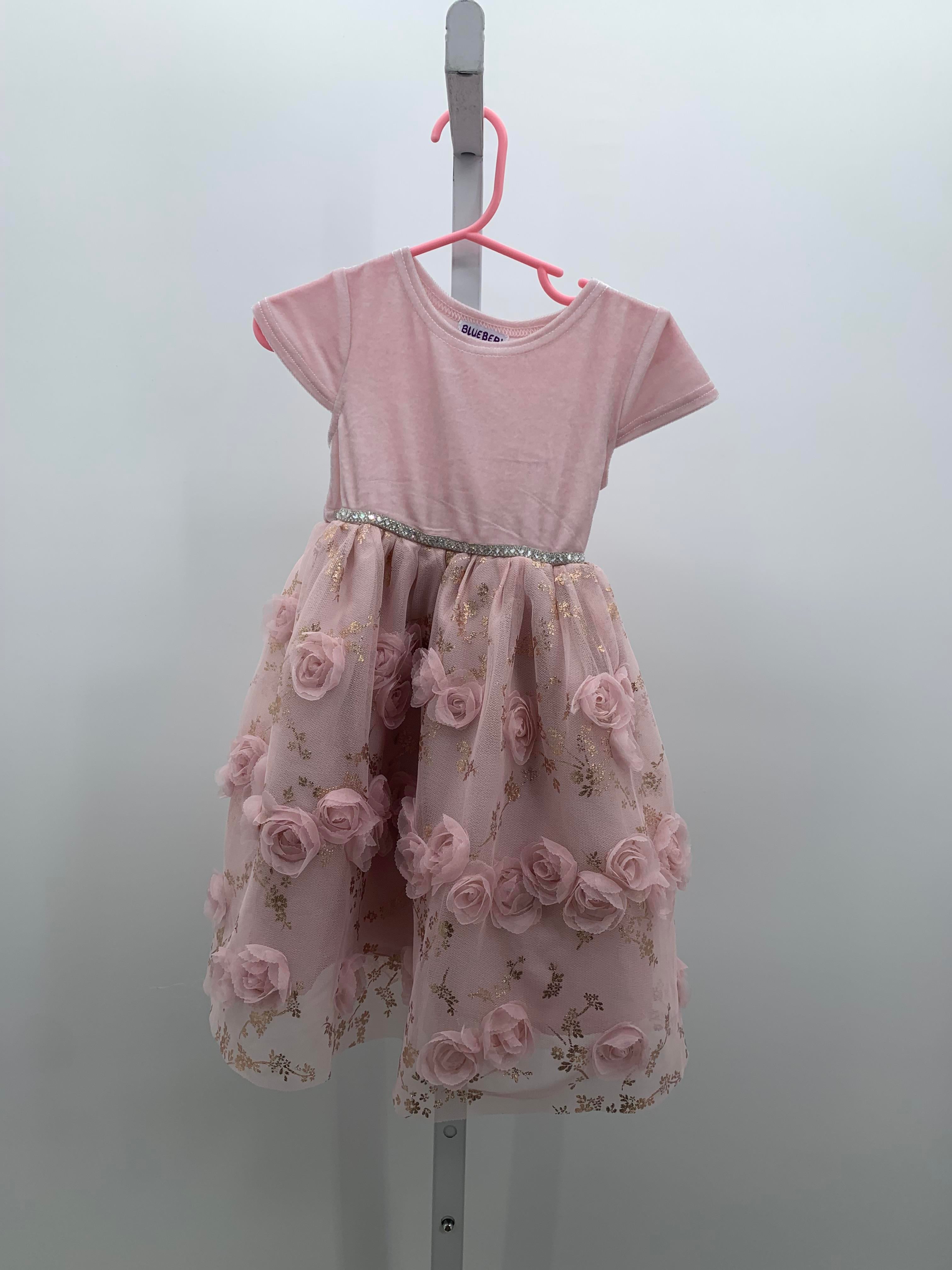 Blueberi Size 2T Girls Short Sleeve Dress