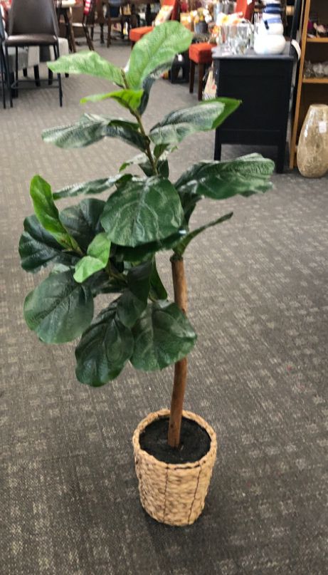 FAUX TREE IN WOVEN PLANTER W/ FAUX BLACK DIRT.