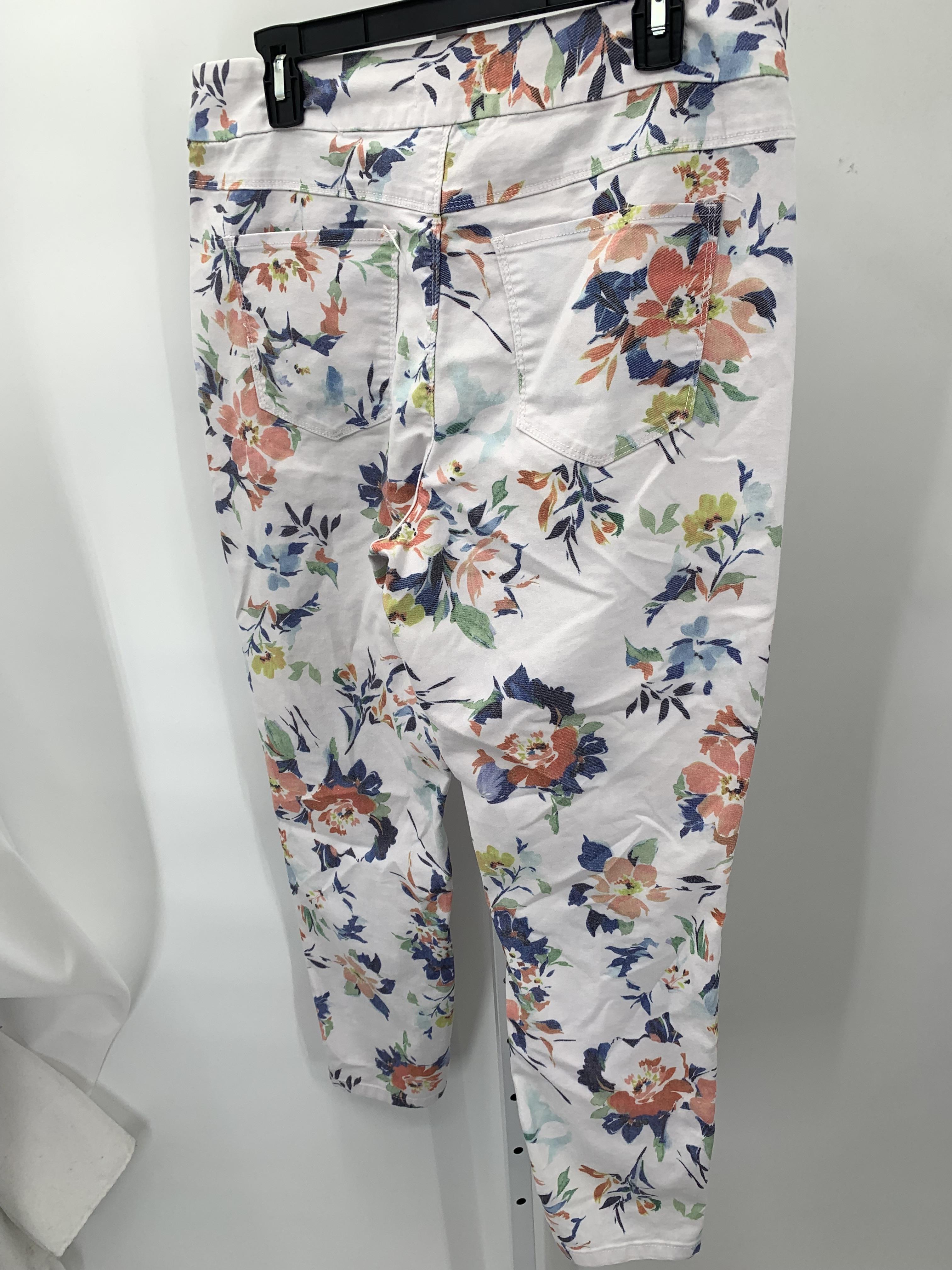 Size 12 Misses Pants