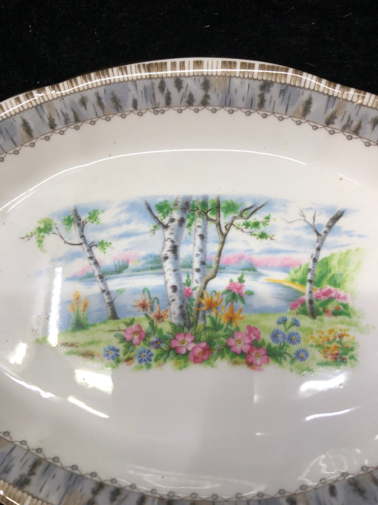 VTG SILVER BIRCH OVAL TRAY.