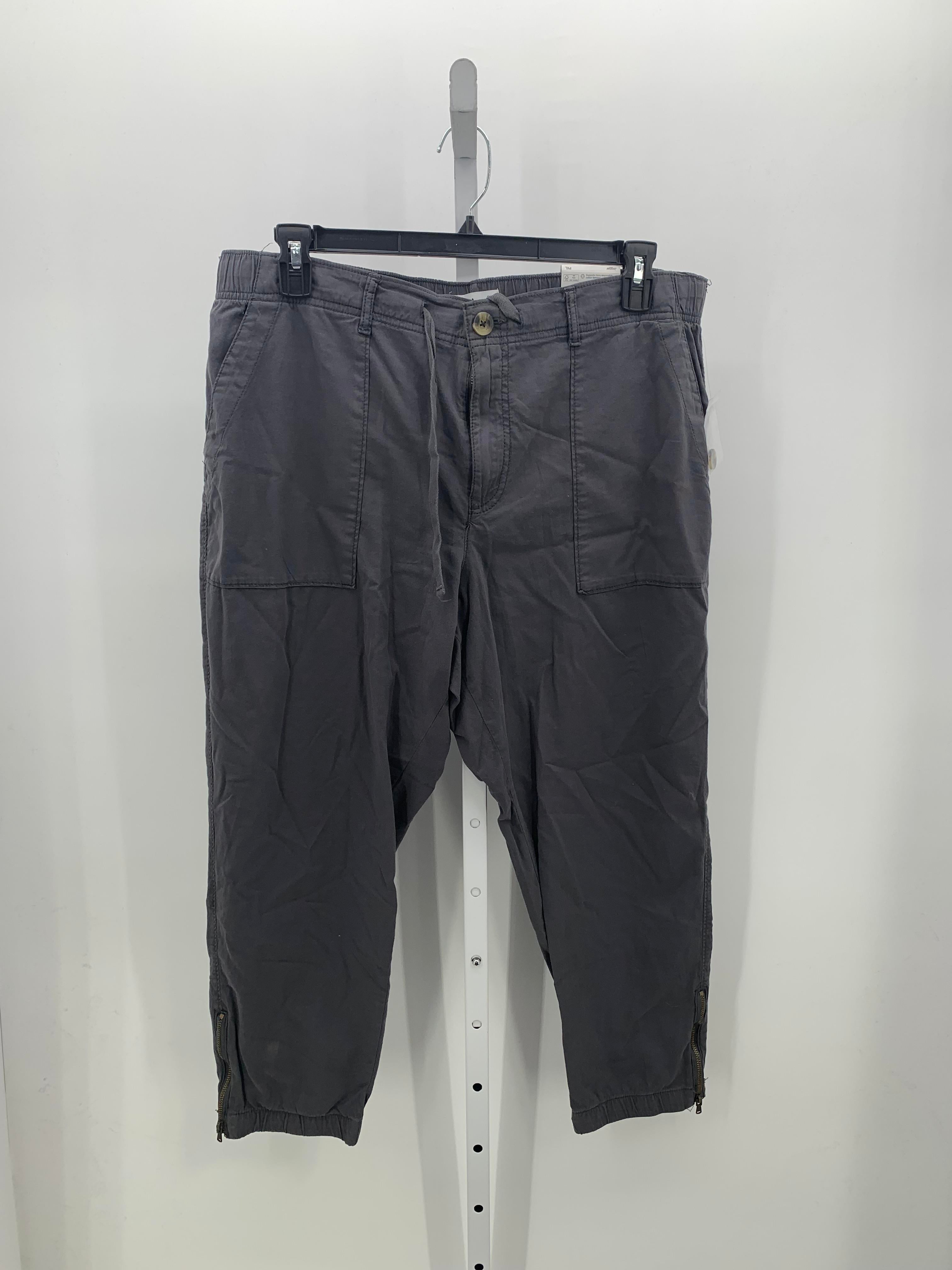 Sonoma Size X Large Petite Petite Pants
