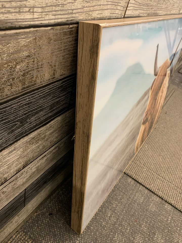 HIGHLAND COW PHOTO IN WOOD FRAME.