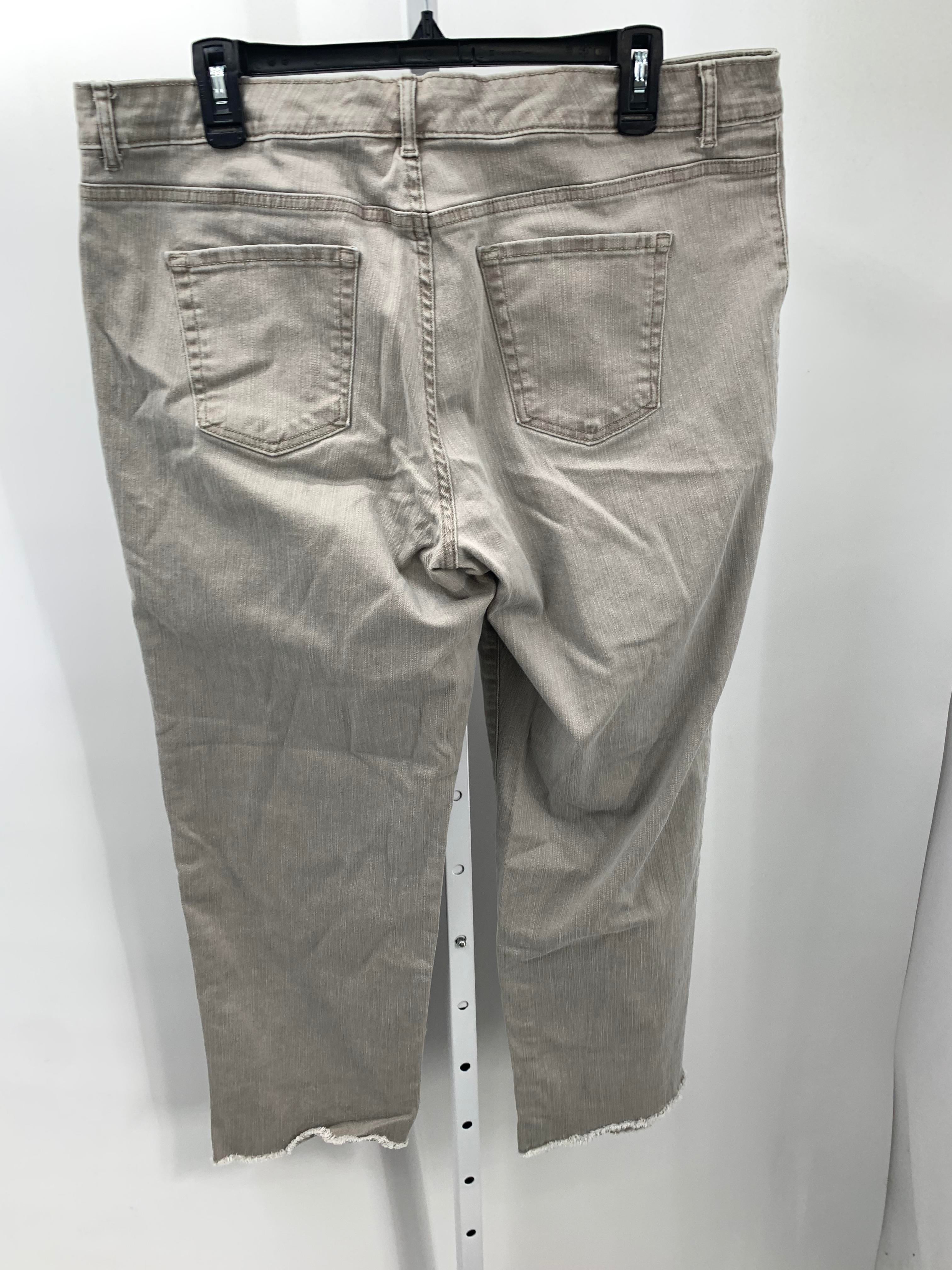 LOGO Size 16 Misses Jeans