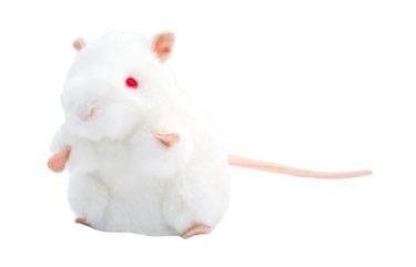 GIANT Microbes White Lab Mouse