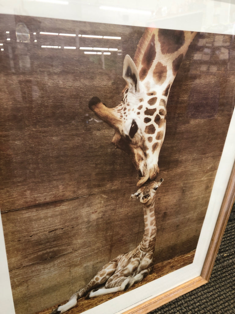 GIRAFFE AND BABY IN TAN FRAME WALL HANGING.