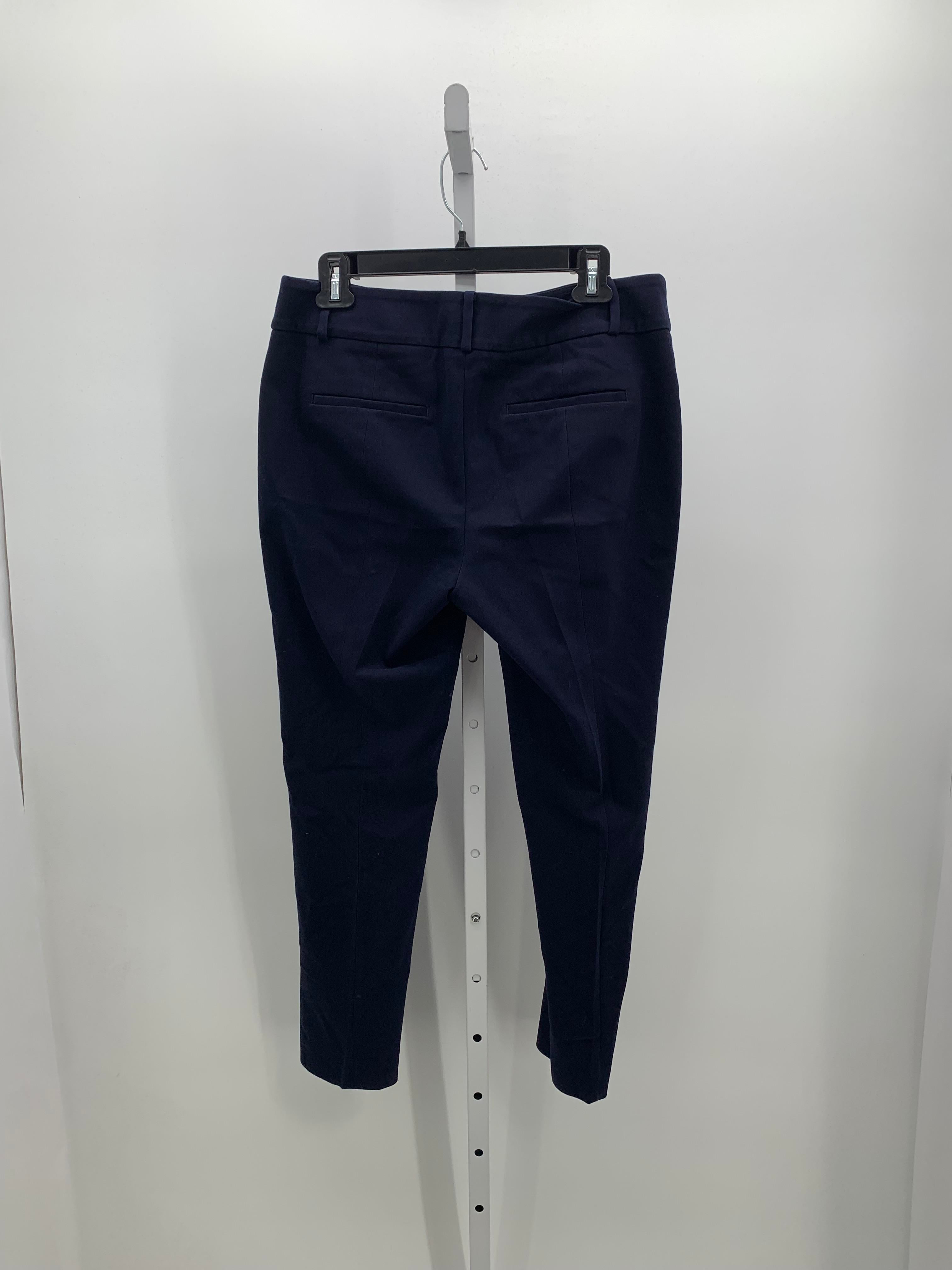 Loft Size 6 Misses Pants