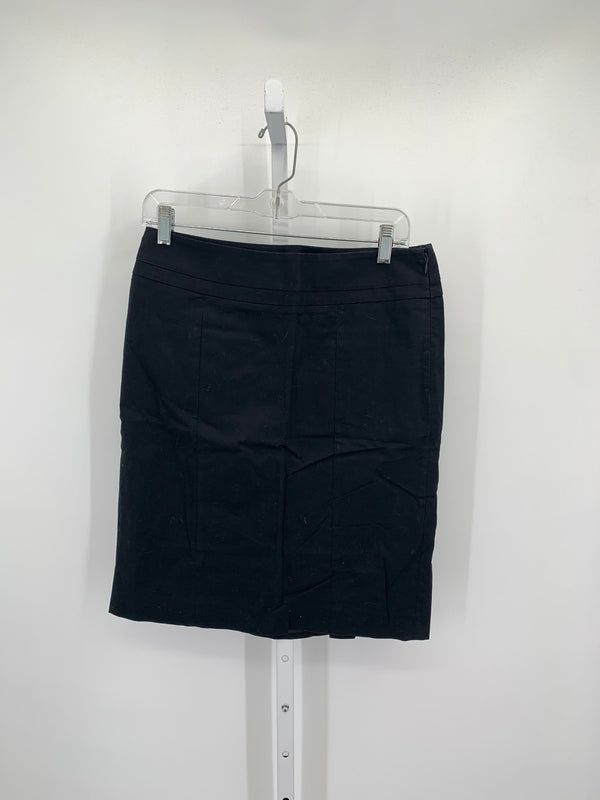 Loft Size 6 Misses Skirt