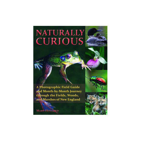 Naturally Curious - Holland, Mary