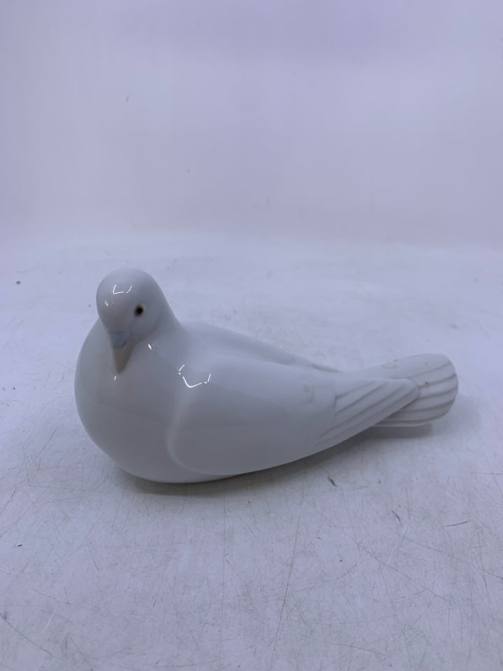 WHITE DOVE LAYING DOWN.