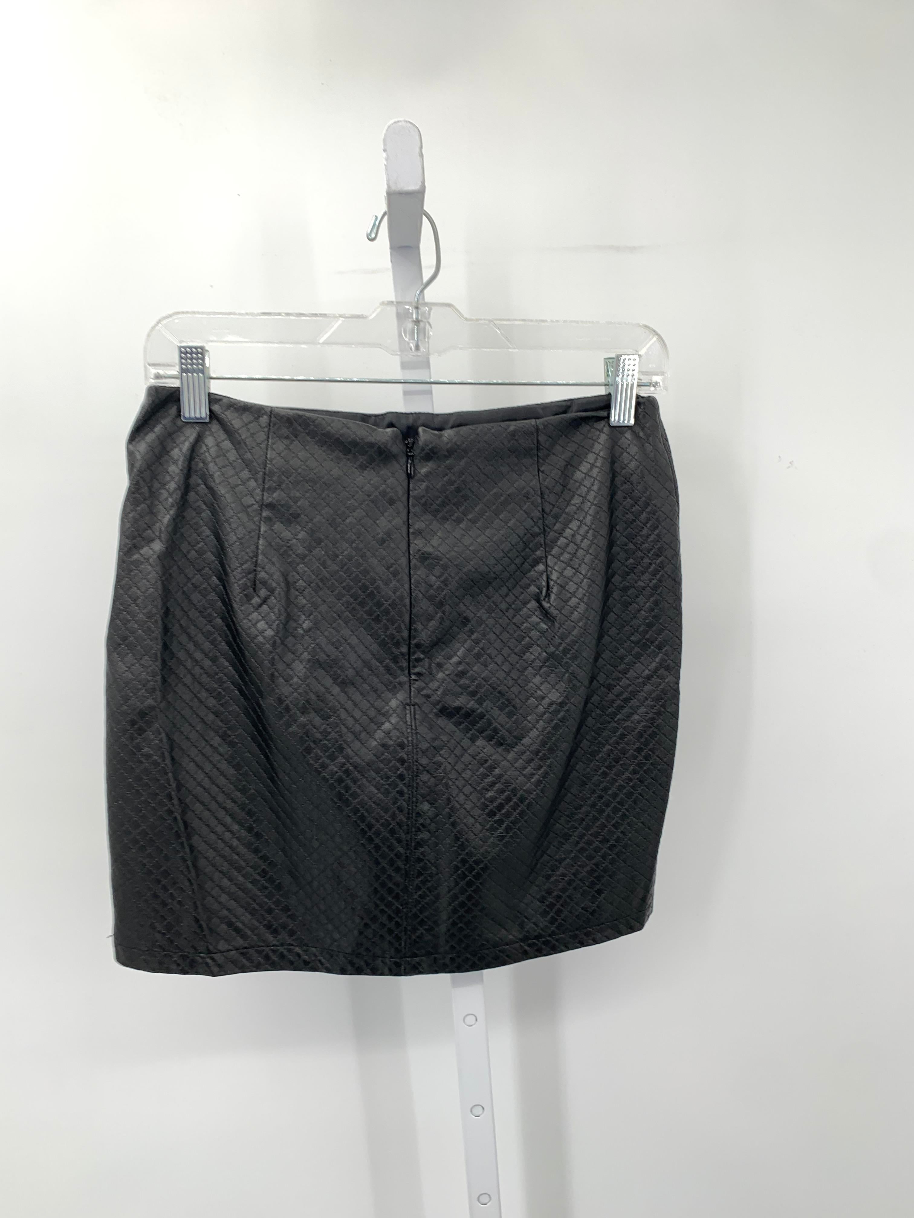 Dalia Collection Size 2 Misses Skirt