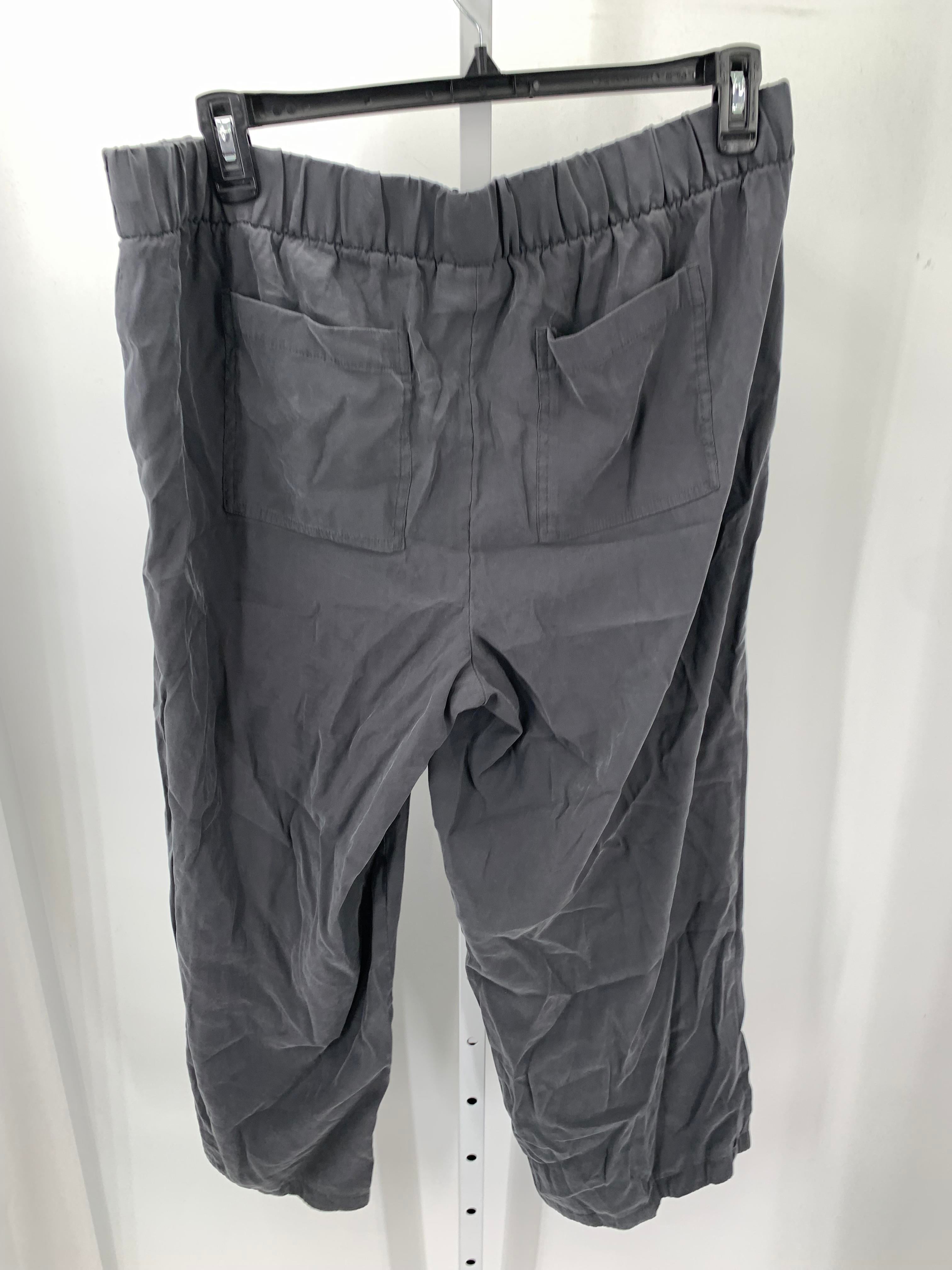 Isabel Grey Size Extra Large Maternity Pants