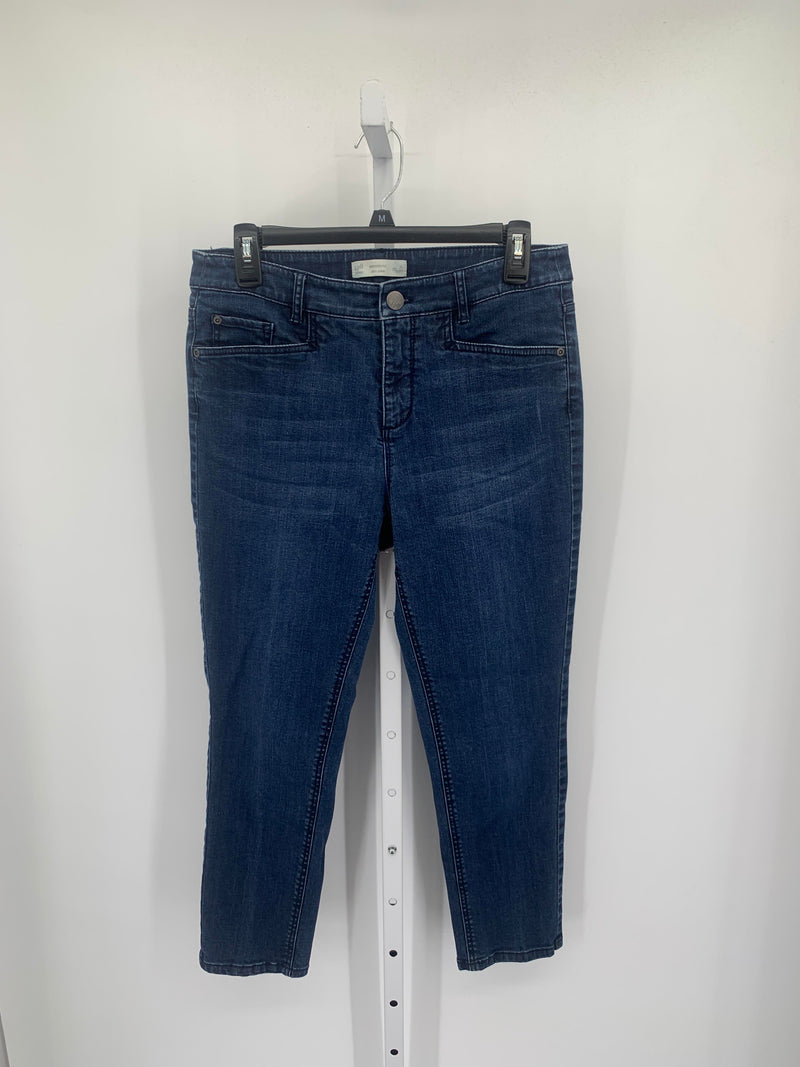 J-Jill Size 8 Petite Petite Jeans