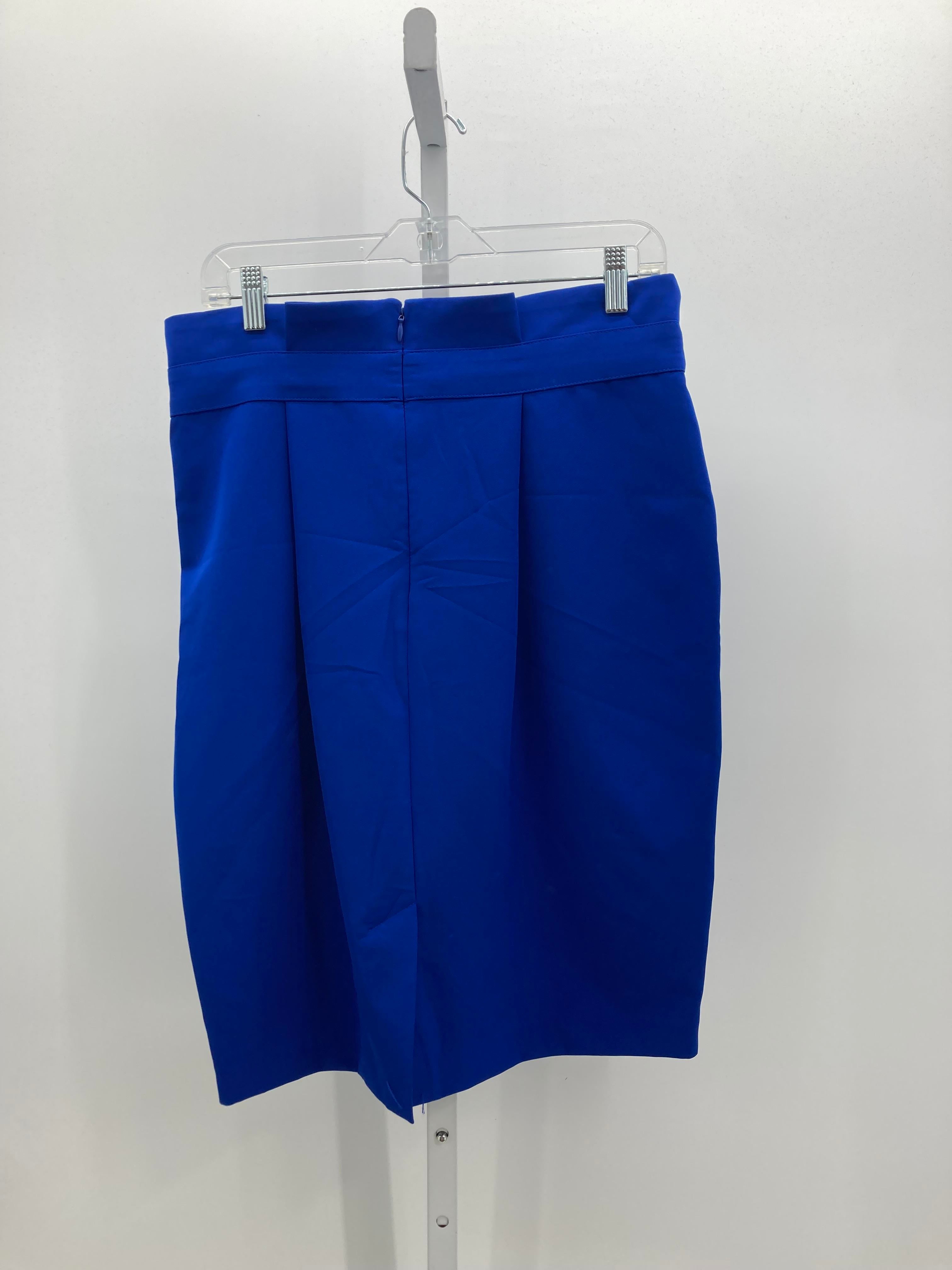 Liz Claiborne Size 10 Misses Skirt