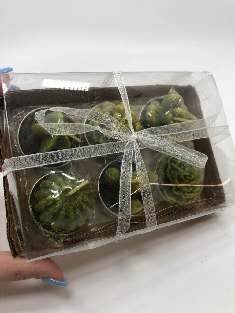 NIP CACTI CANDLES.