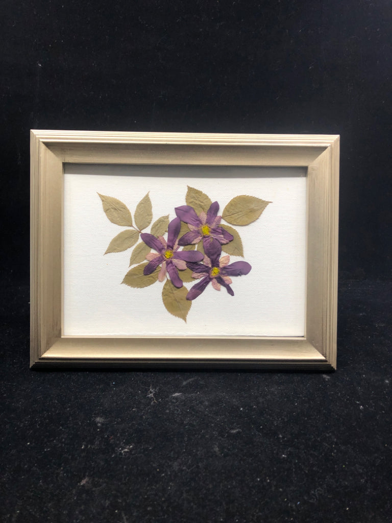 DRIED DAISIES IN SILVER FRAME.