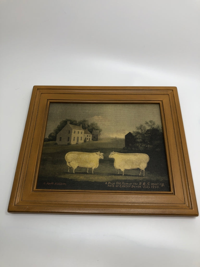2 PRIZE OLD RAM AT THE RAS MEETING FRAMED CANVAS.