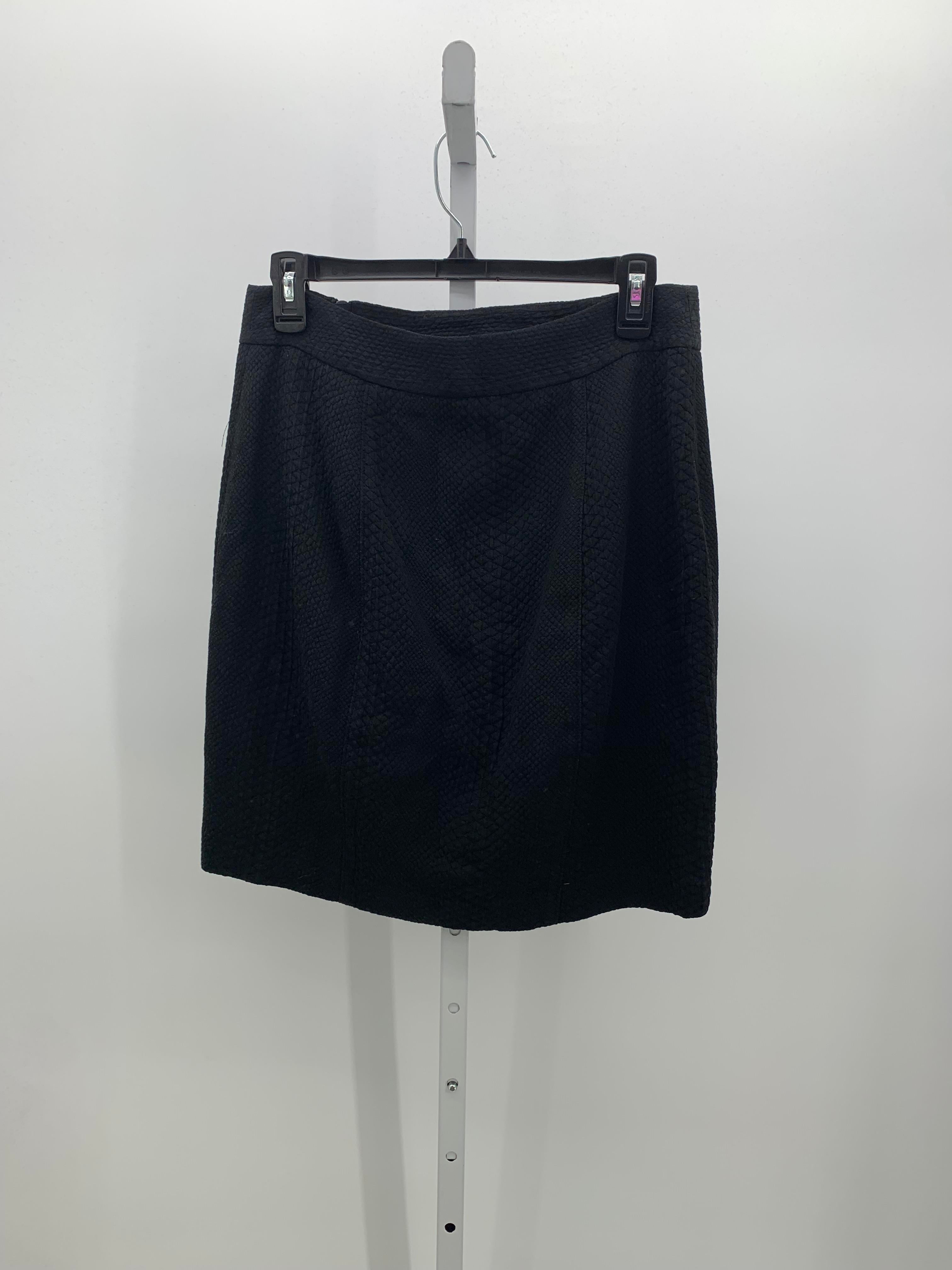 Ann Taylor Size 6 Misses Skirt