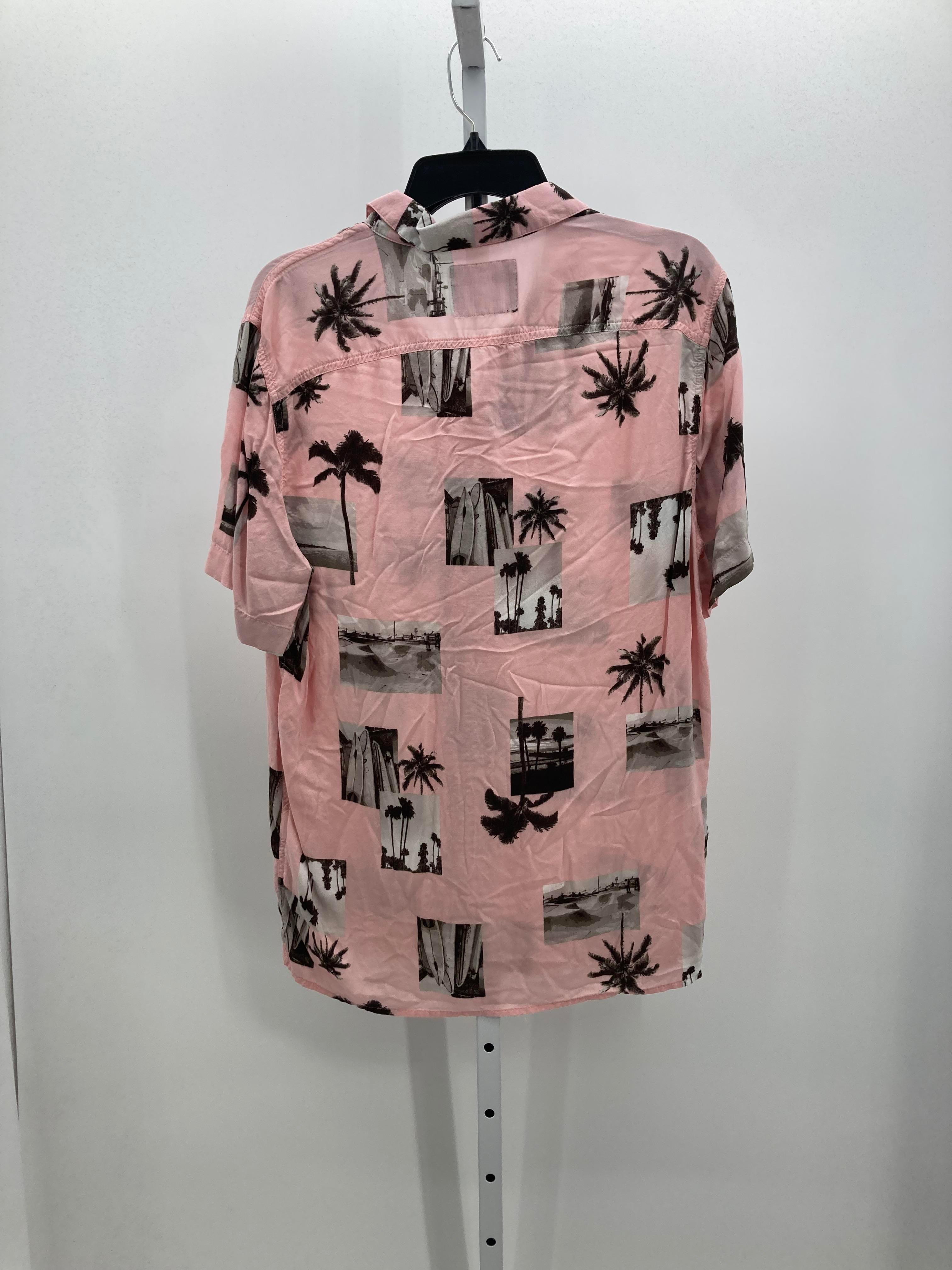 PALM TREES BTN DOWN