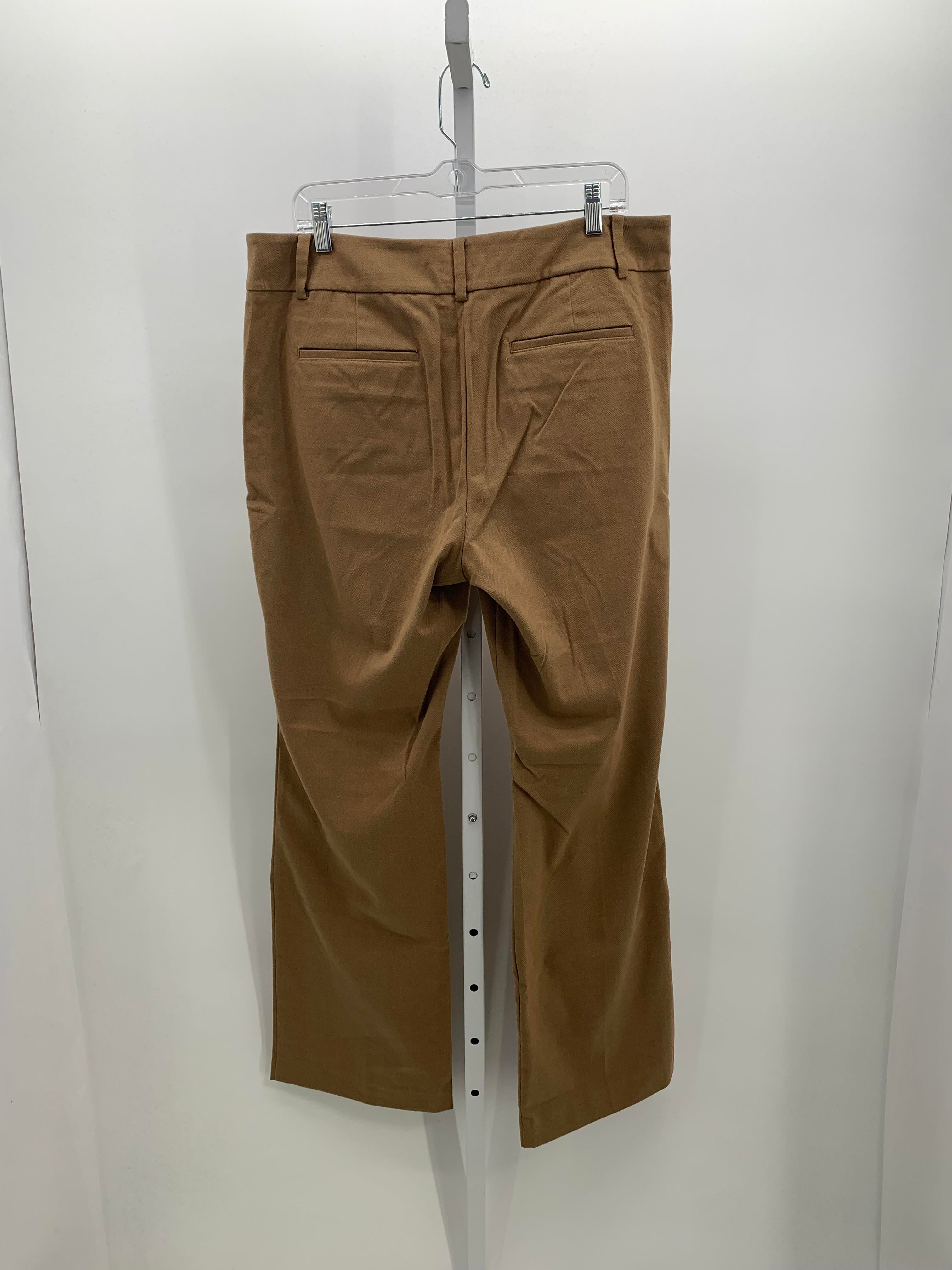 Loft Size 14 Misses Pants