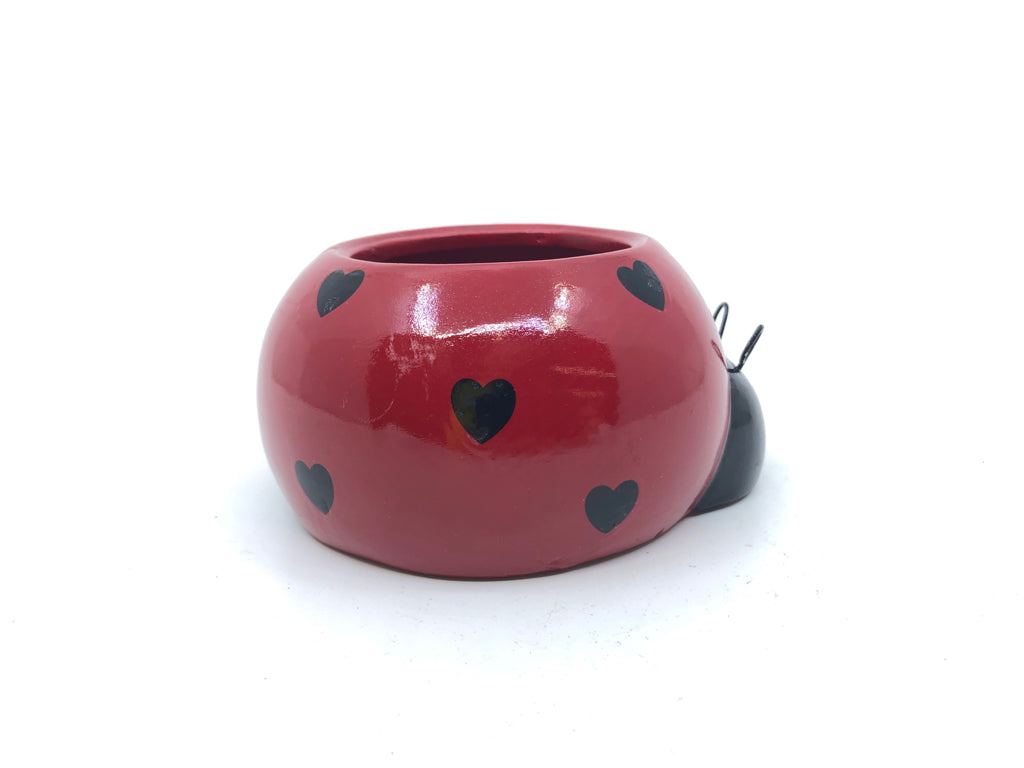 LADY BUG PLANTER.