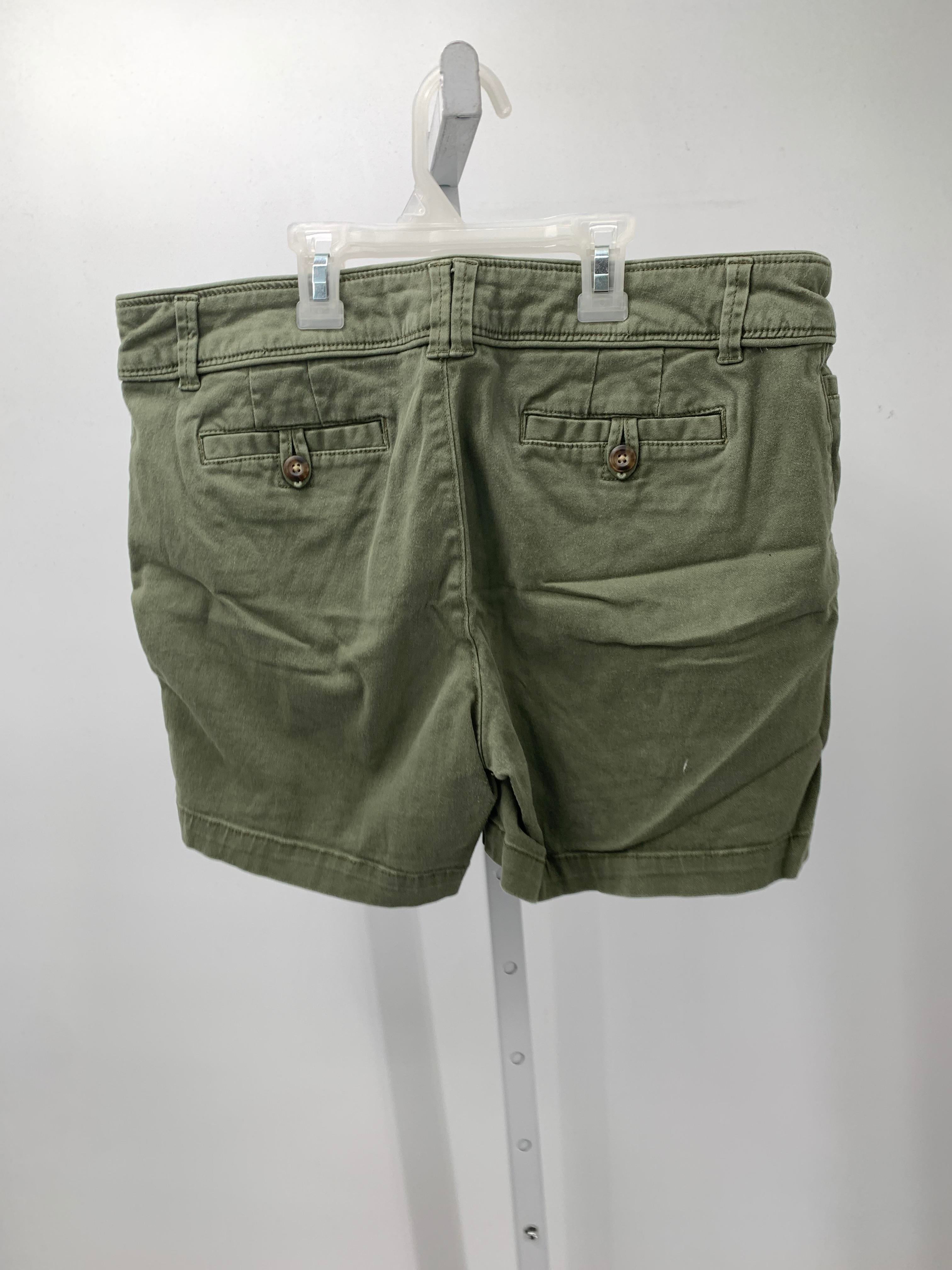 Canyon River Blues Size 8 Misses Shorts
