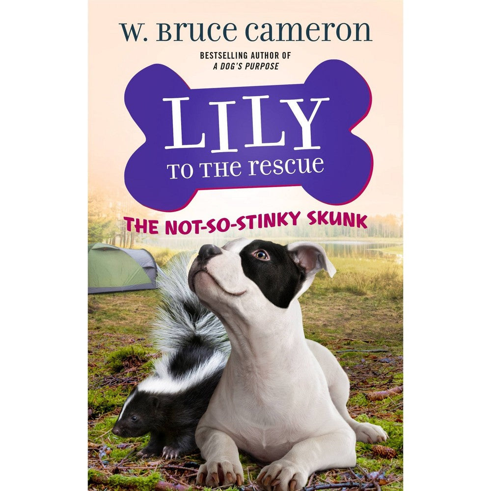 Lily to the Rescue!: Lily to the Rescue: the Not-So-Stinky Skunk (Series #3) (Pa