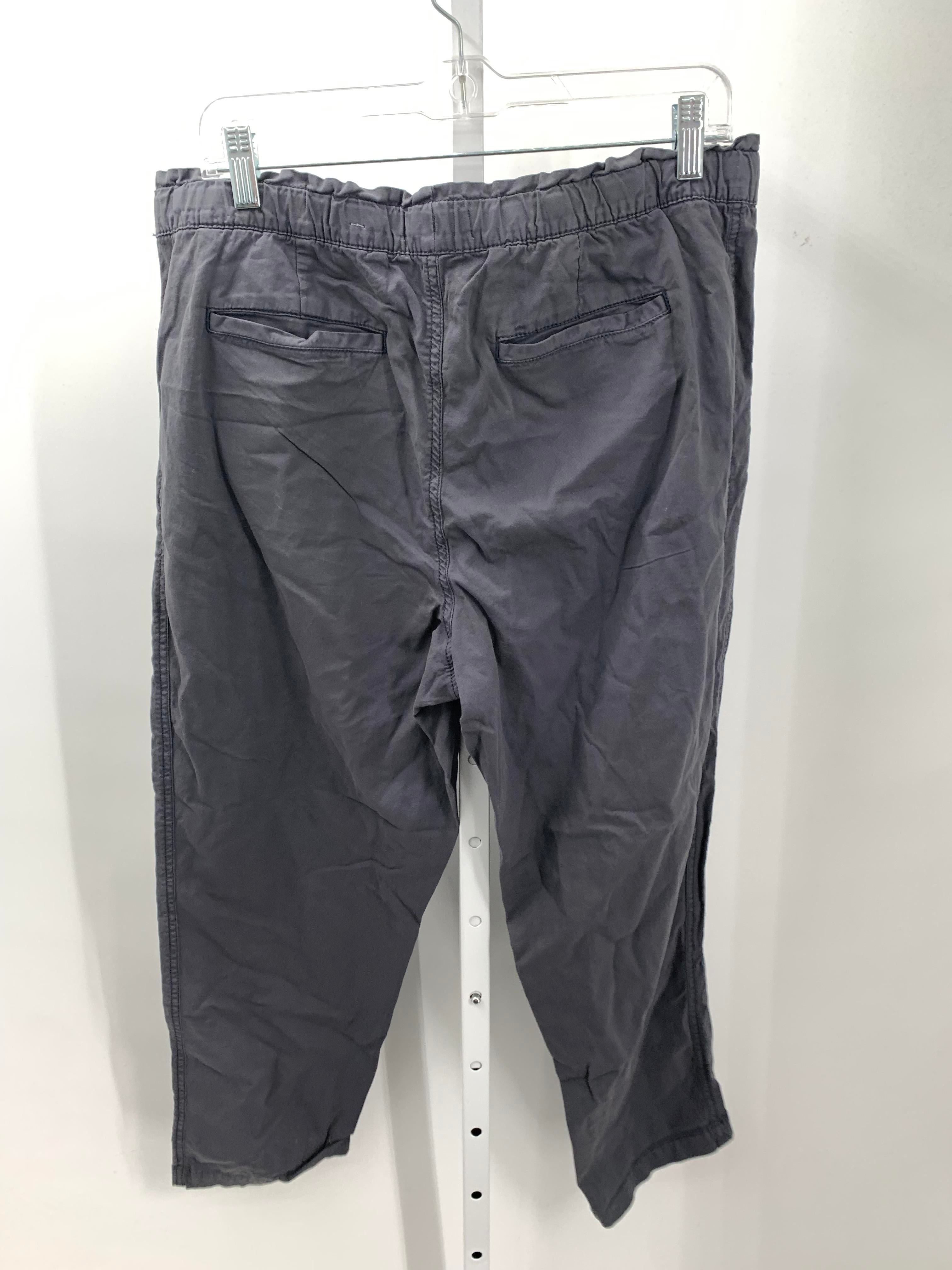Sonoma Size Large Misses Pants