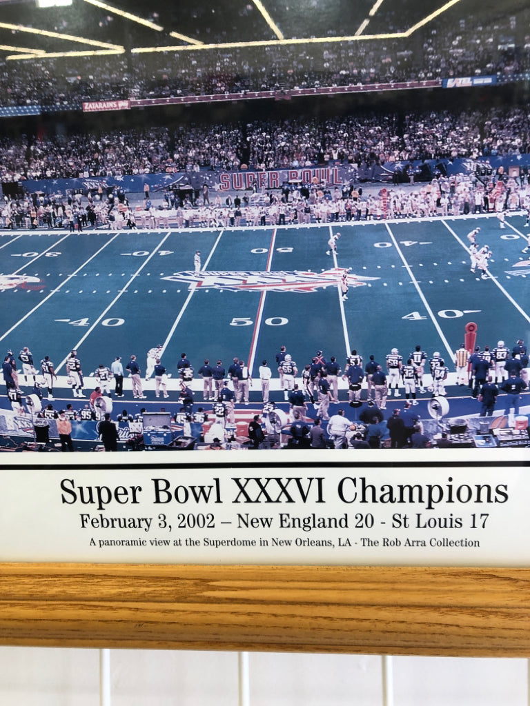 PATRIOTS SUPERBOWL 2002 PANORAMIC PHOTO.