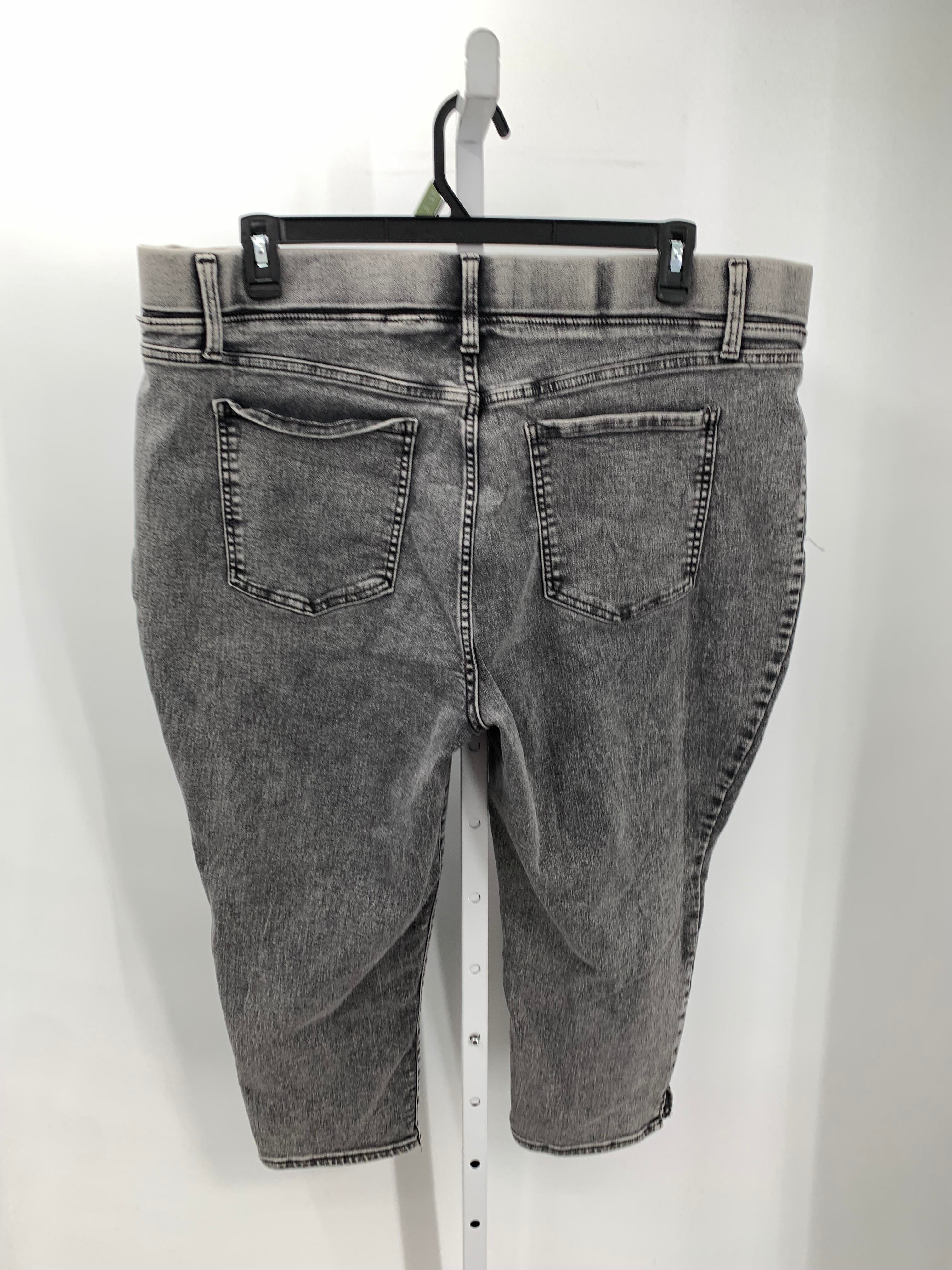 Terra & Sky Size 2X Womens Jeans