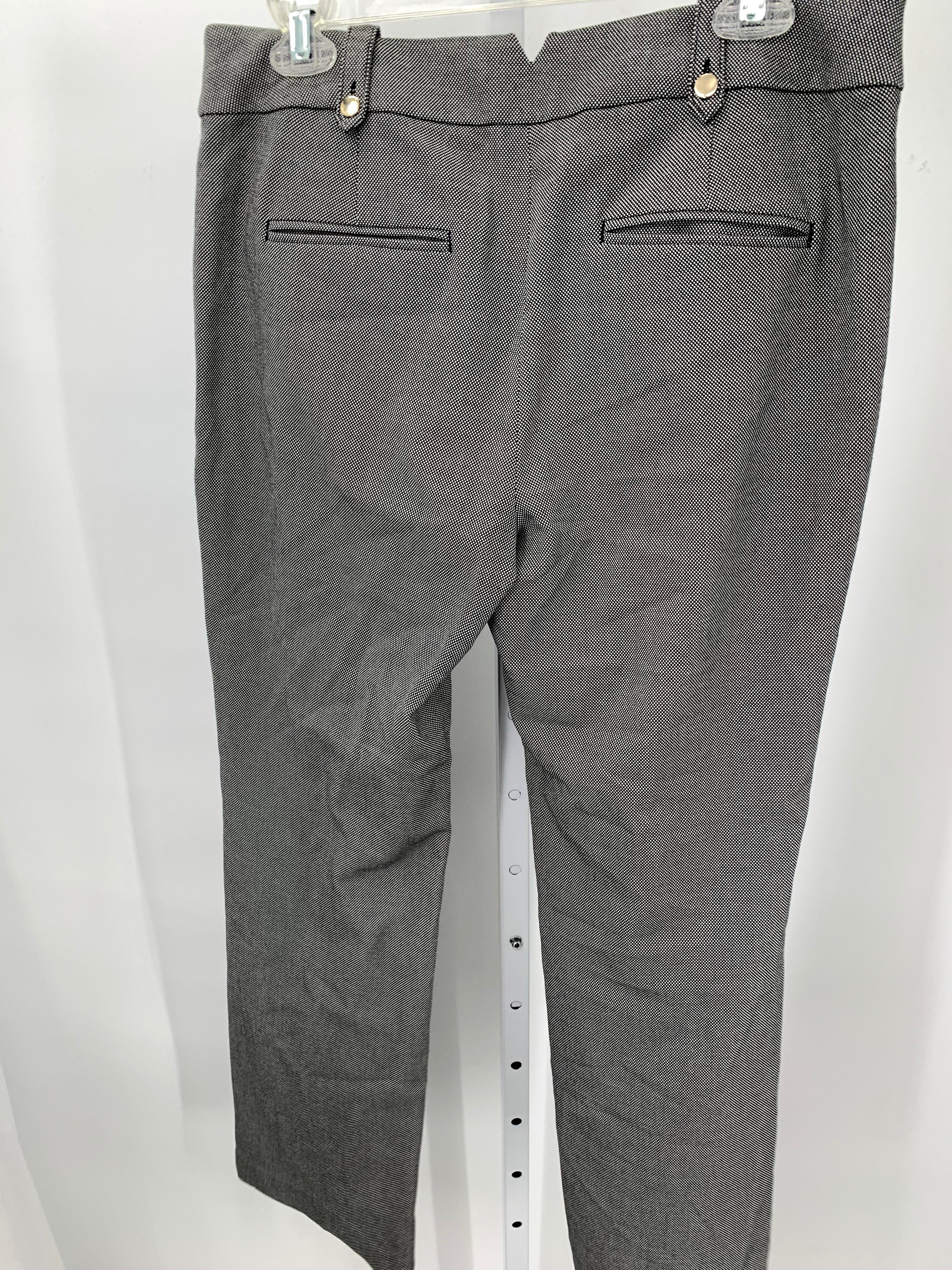 Loft Size 8 Misses Pants