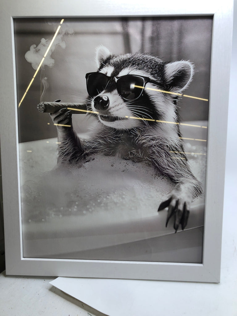 RACOON SMOKING CIGAR IN WHITE FRAME.