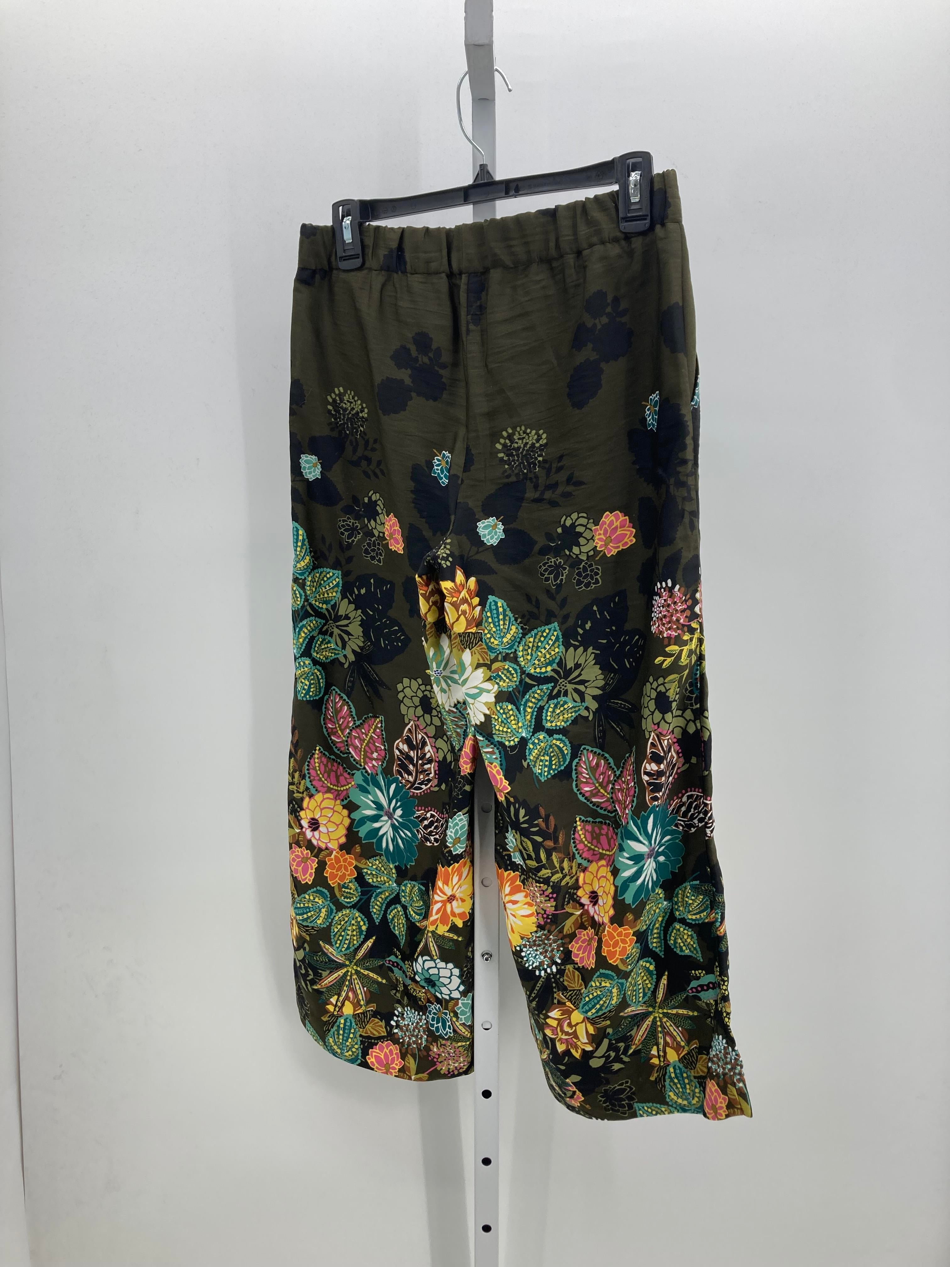 Loft Size X Small Petite Petite Pants