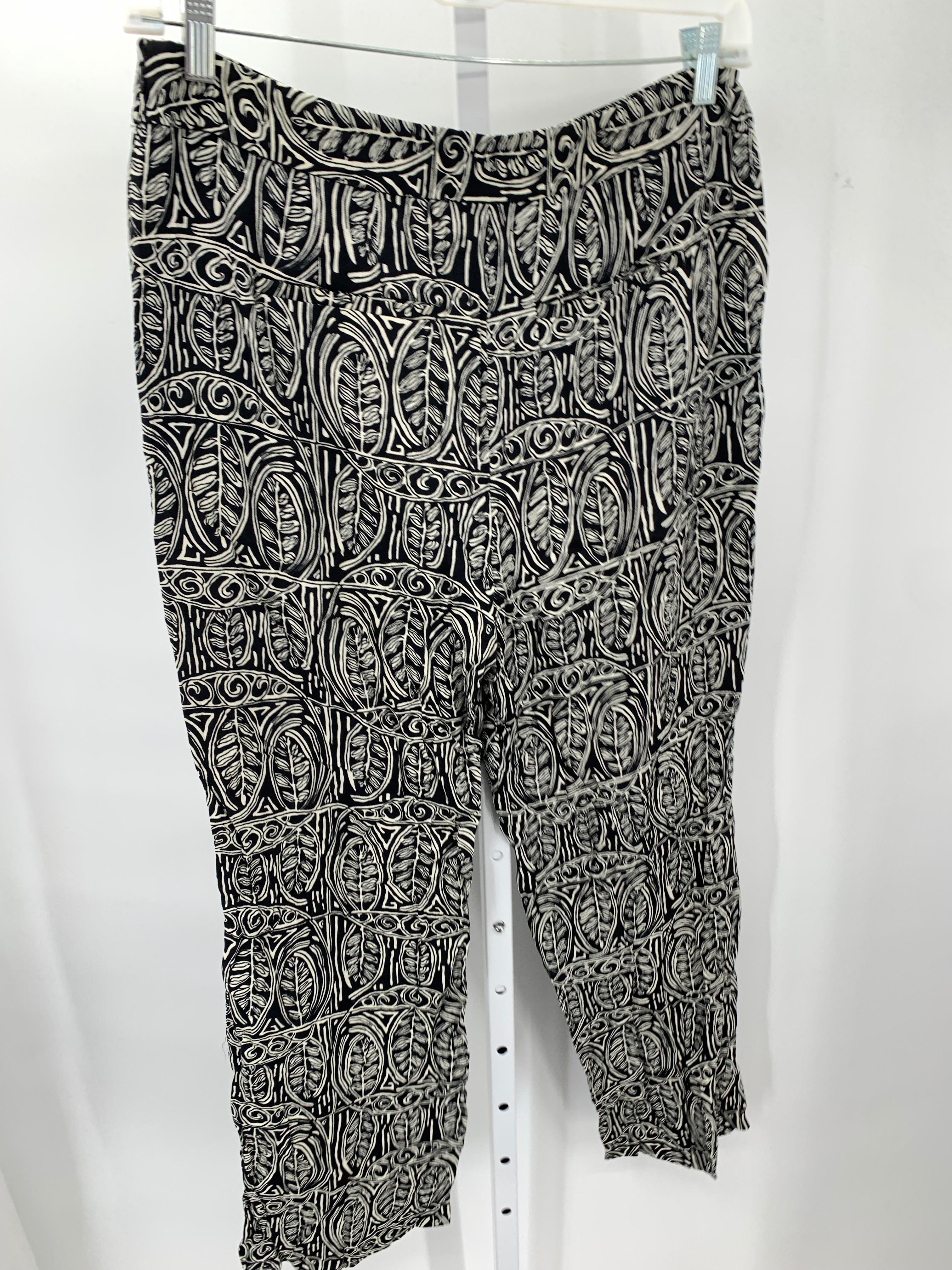 Loft Size 12 Misses Pants