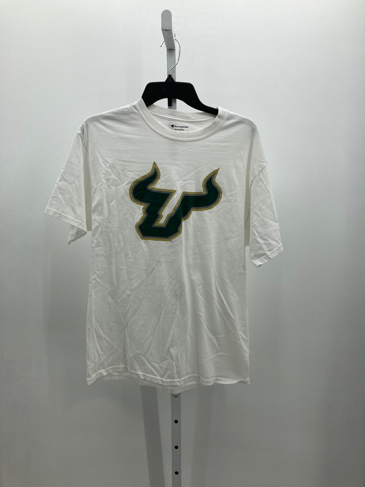 UNIVERSITY OF SOUTH FLORIDA