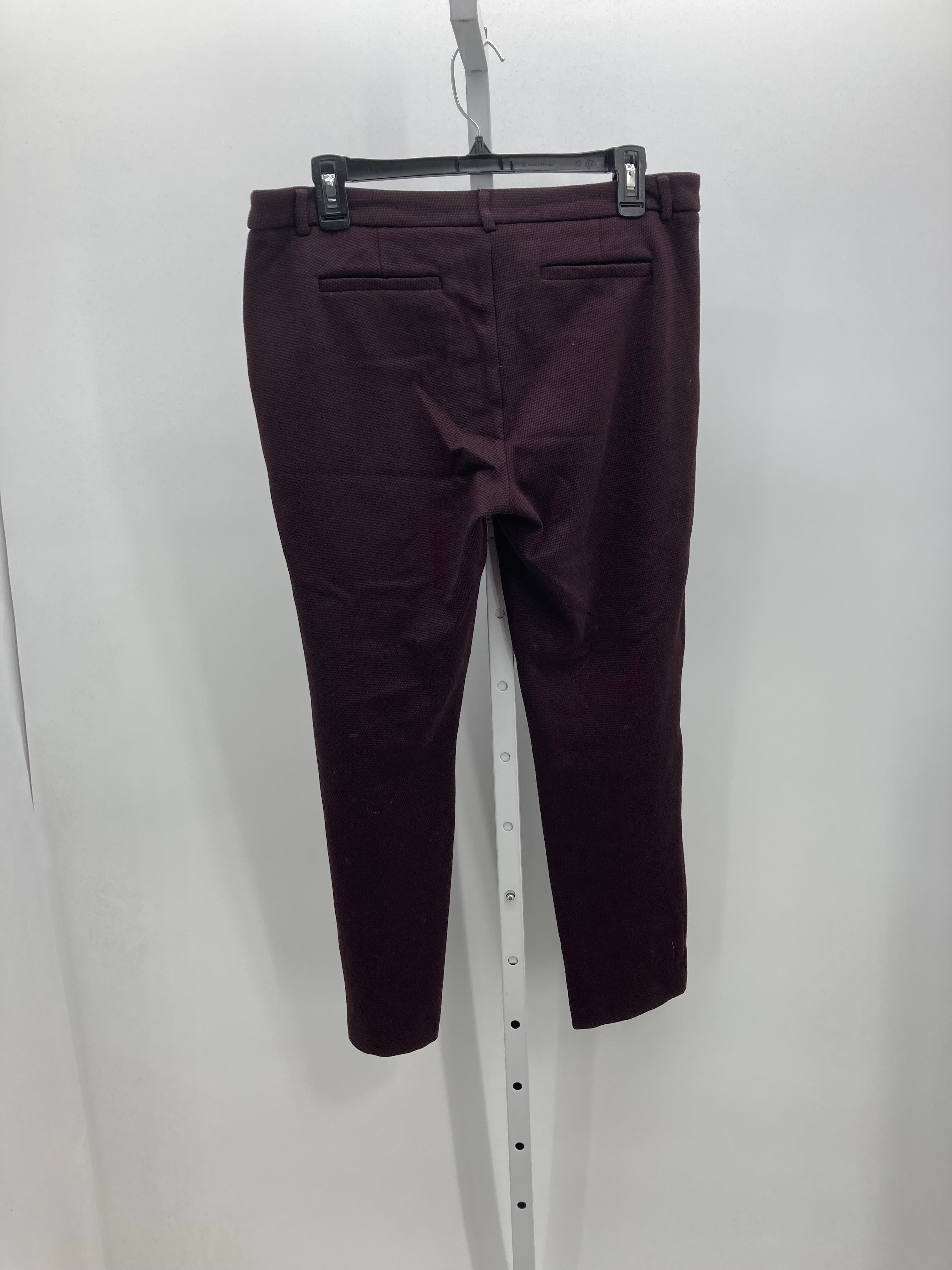 Size 10 Misses Pants