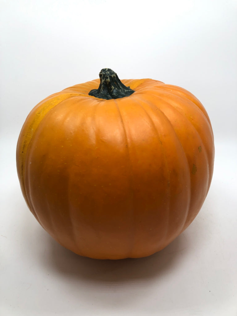 ORANGE PLASTIC PUMPKIN DECOR.