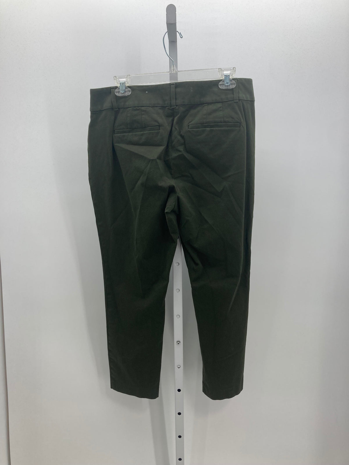 Loft Size 12 Misses Pants