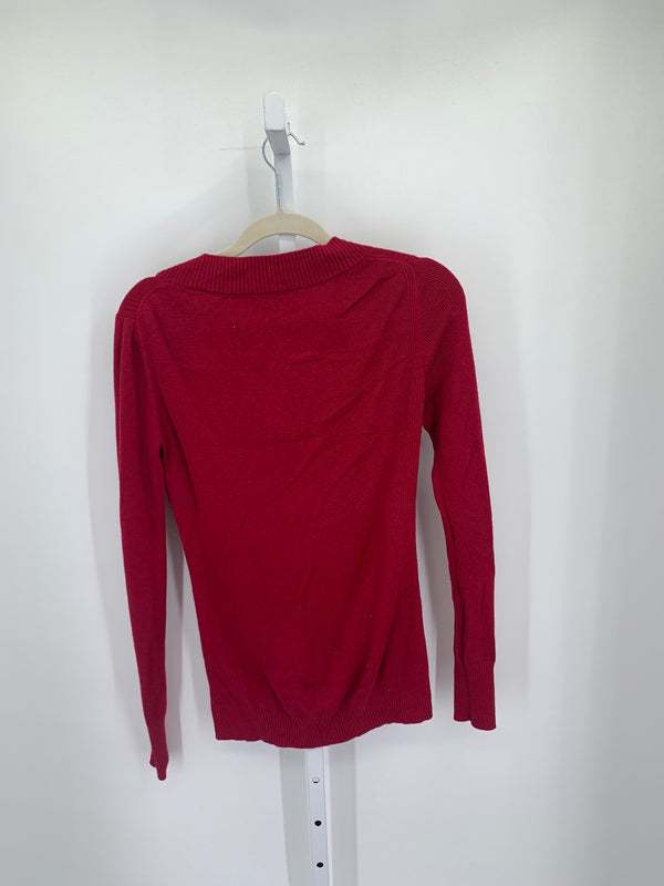 Express Size Large Misses Long Slv Sweater