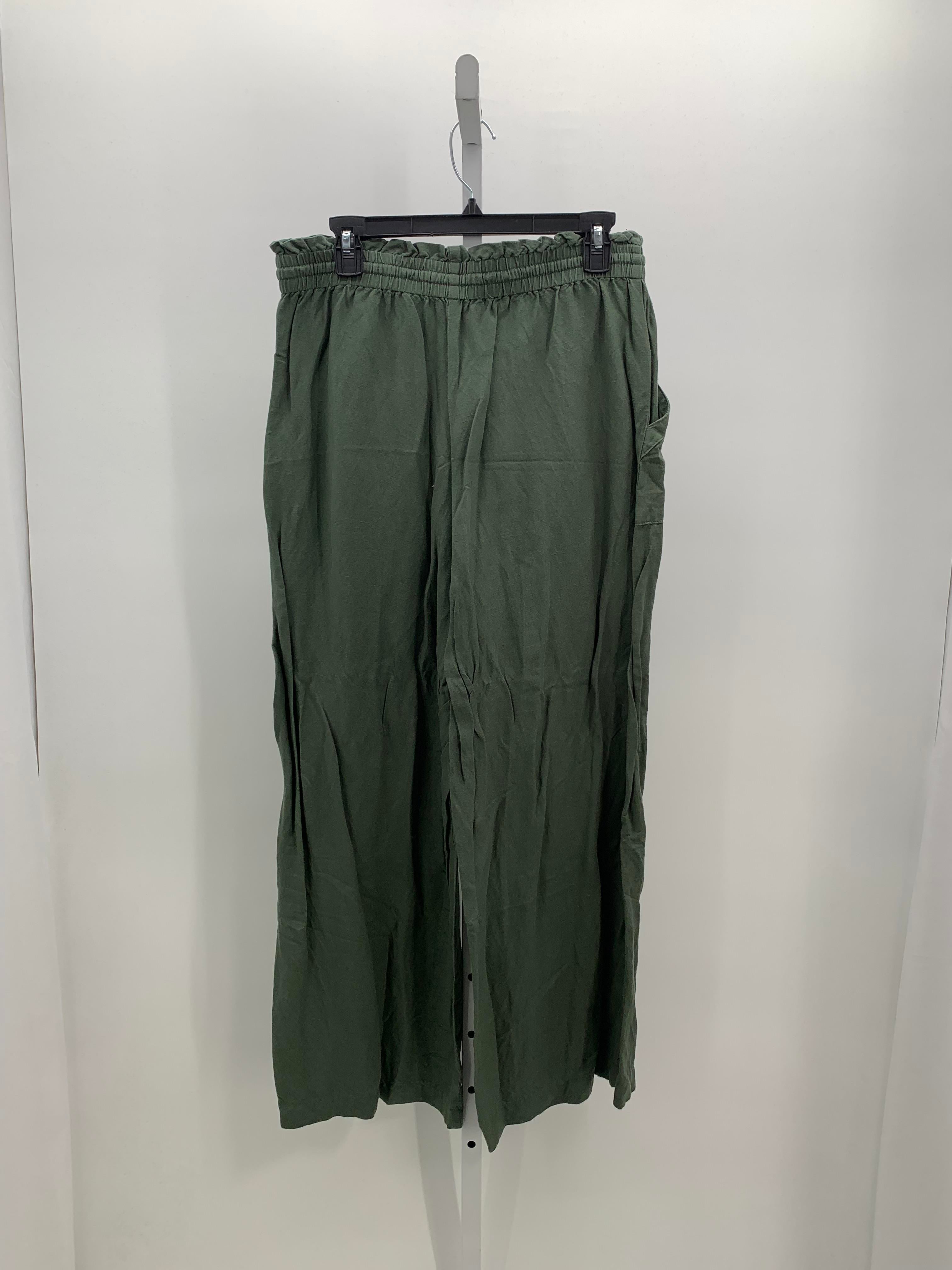 Loft Size Medium Misses Pants