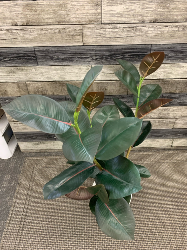 LARGE PLANT W/MOSS IN GRAY PLANTER.