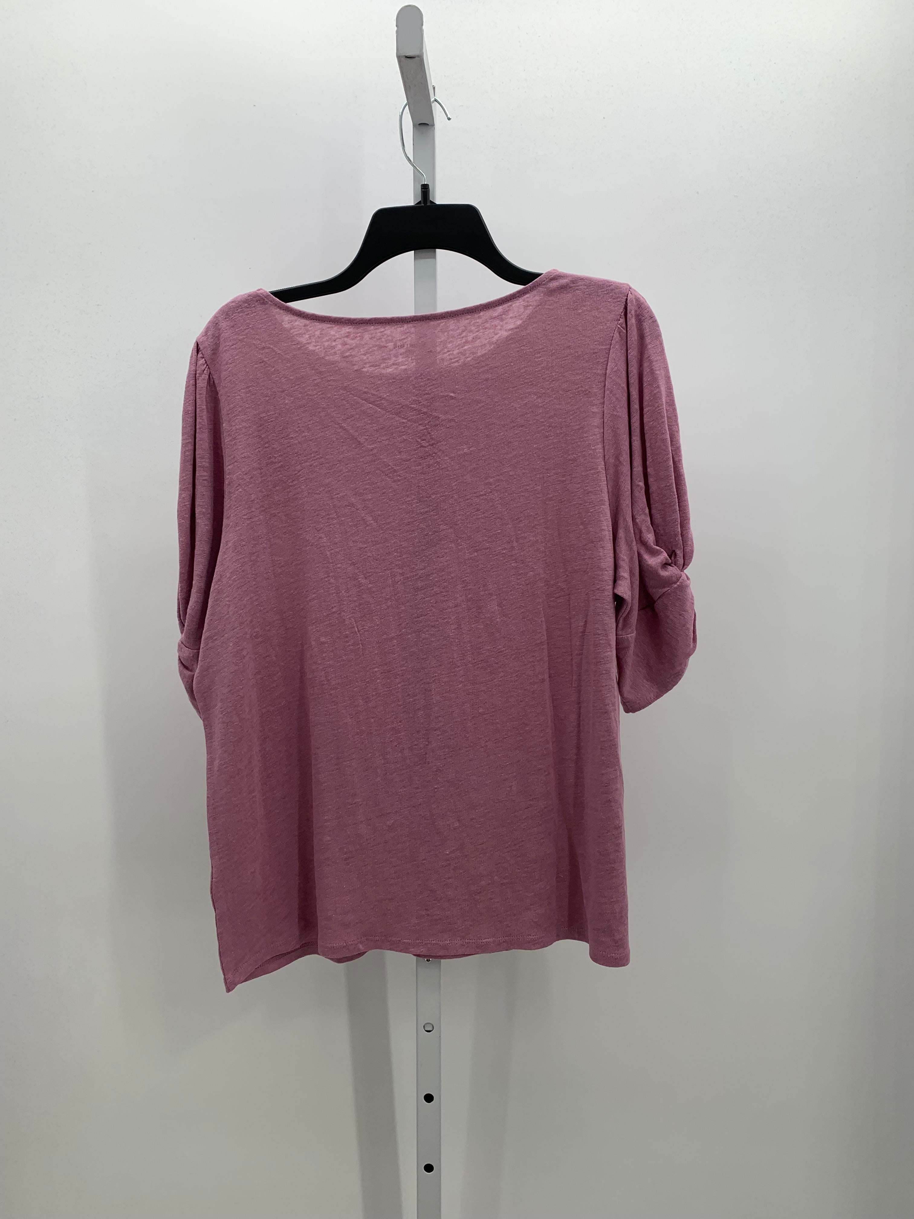 Garnet Hill Size Large Misses Short Sleeve Shirt