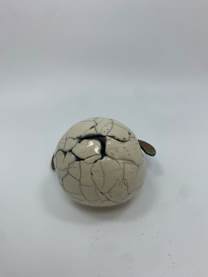 TURTLE HATCHING FROM EGG DECOR.