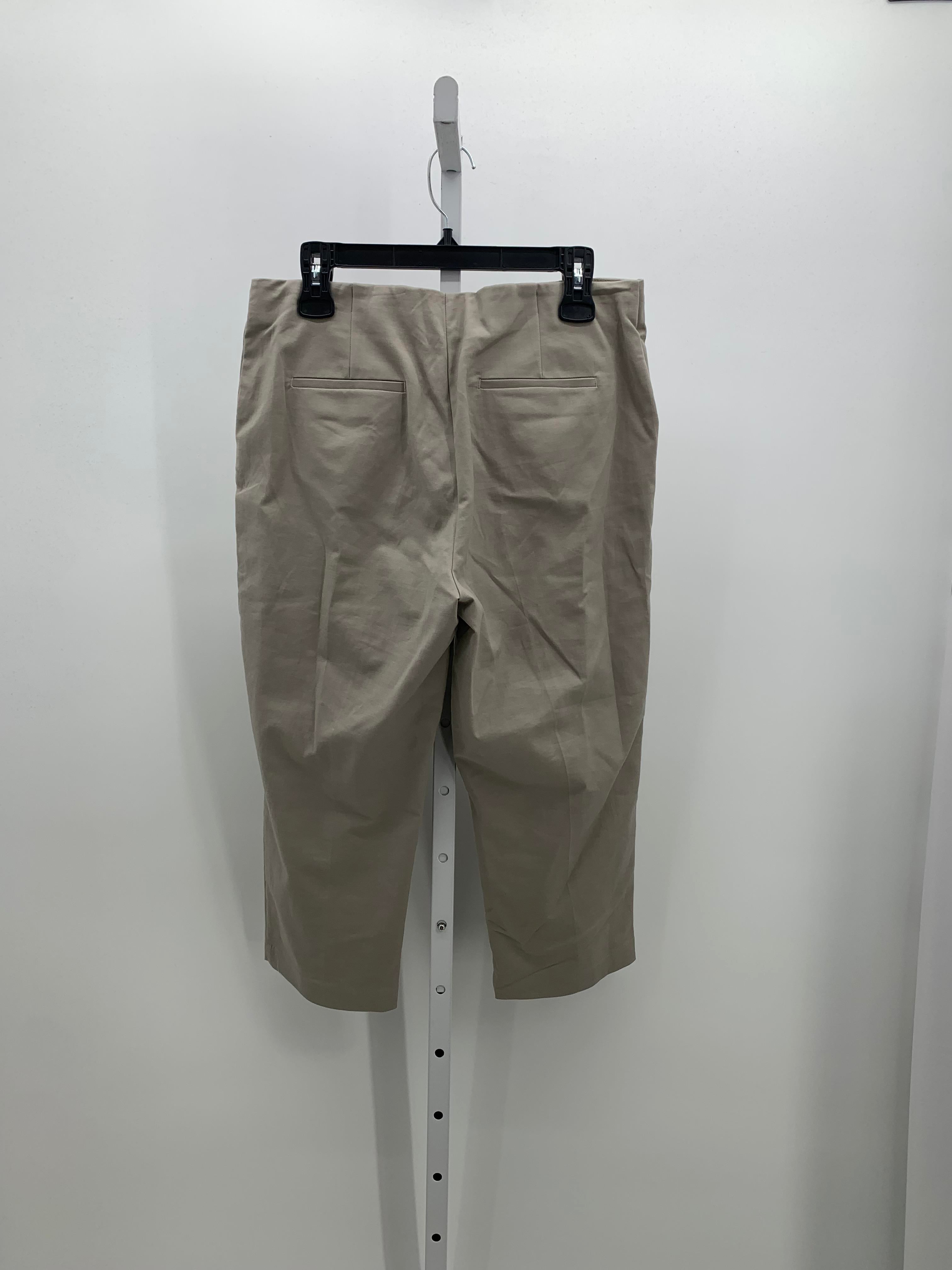 Size 10 Misses Capri Pants