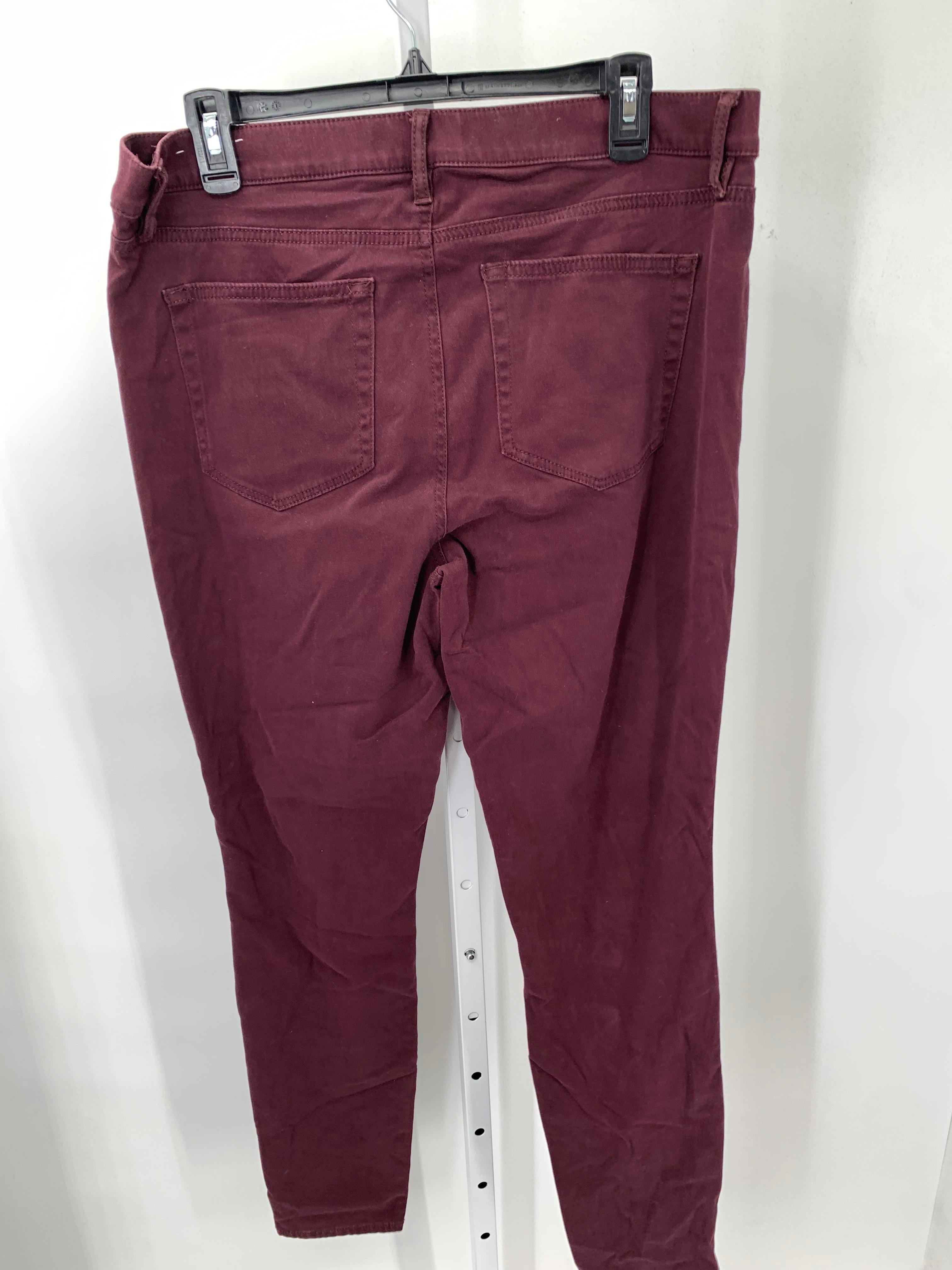 Loft Size 12 Tall Misses Pants