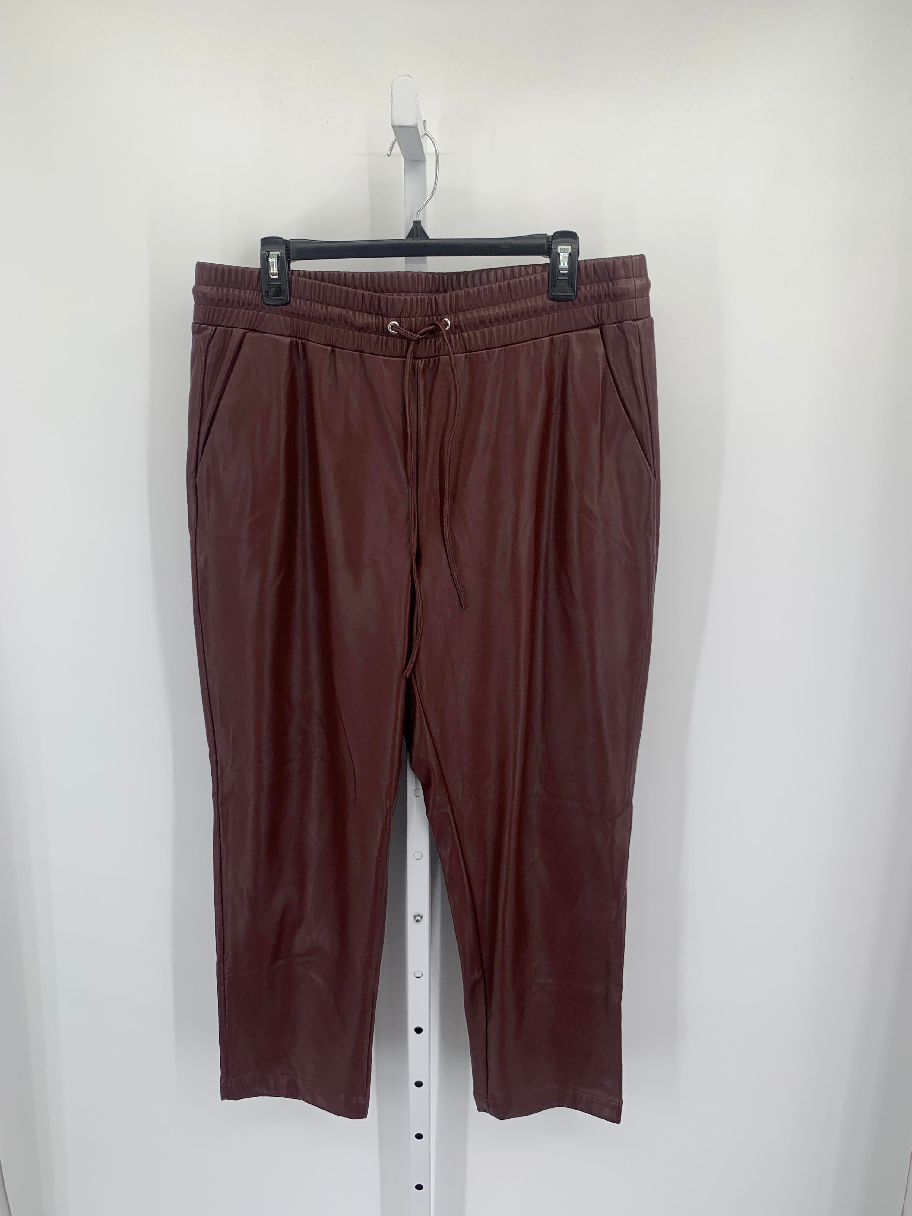 Loft Size Large Misses Pants