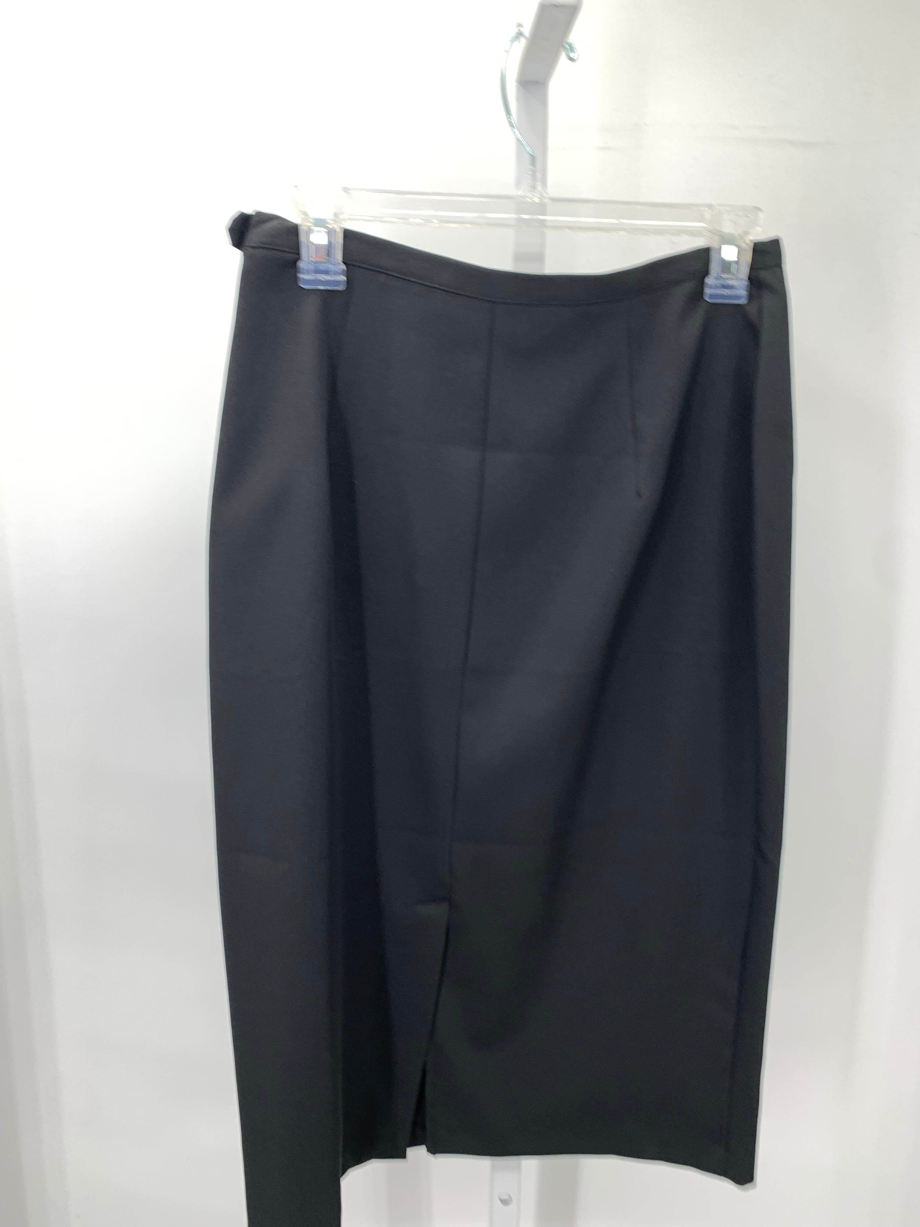 Briggs Size 8 Misses Skirt