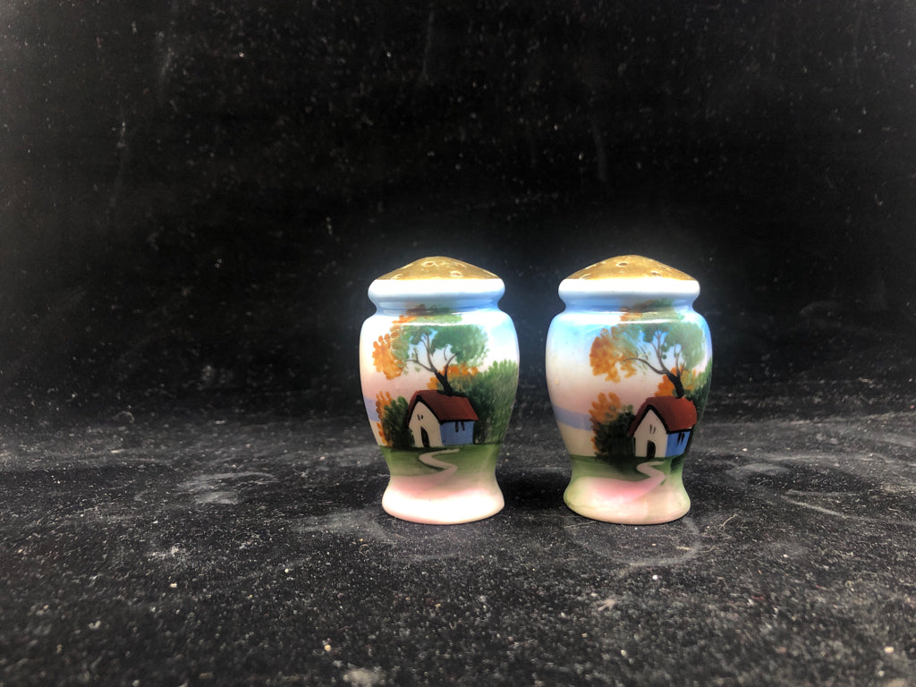 VTG HOUSE SALT + PEPPER SHAKERS.