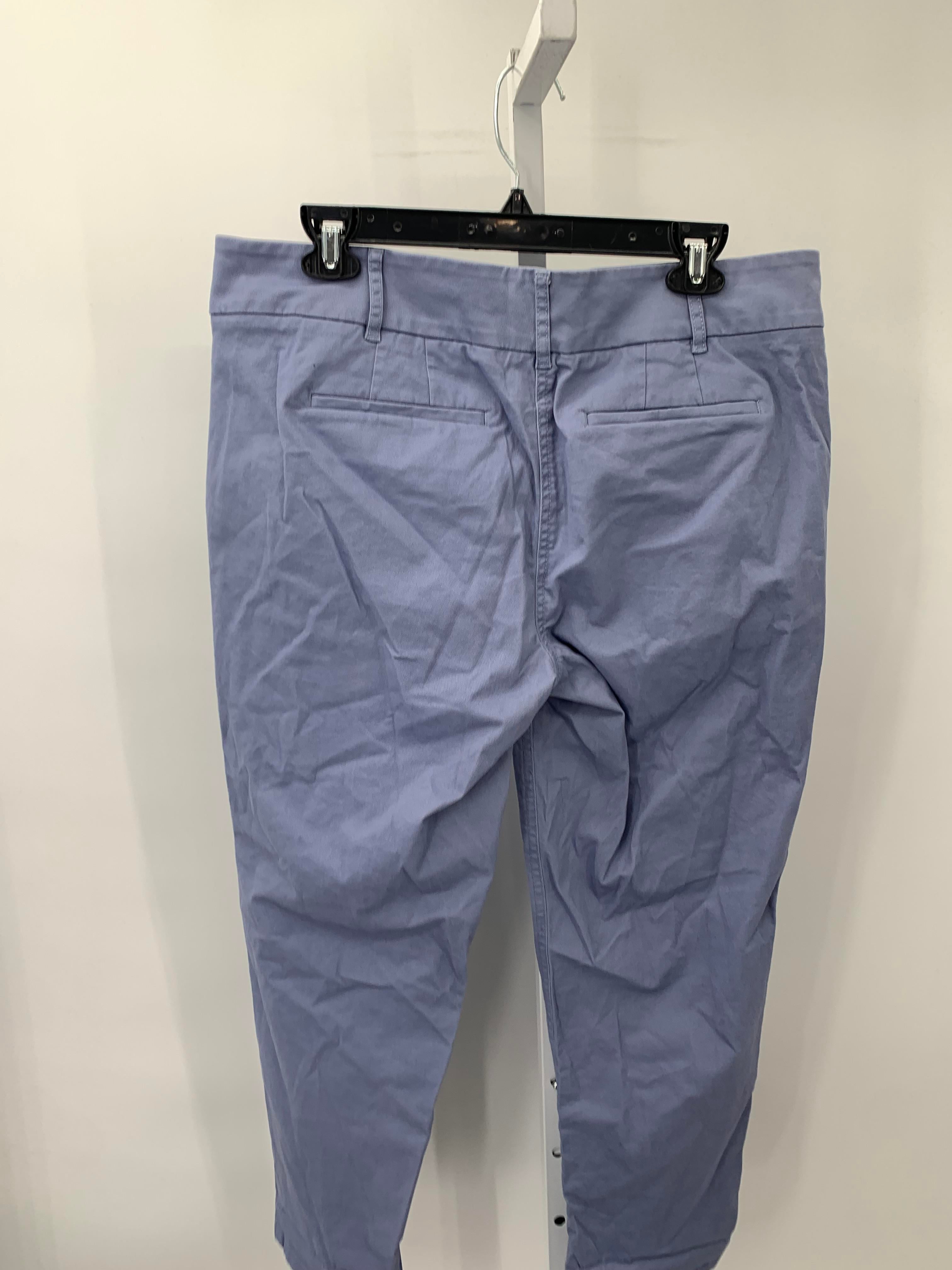 Loft Size 12 Misses Pants