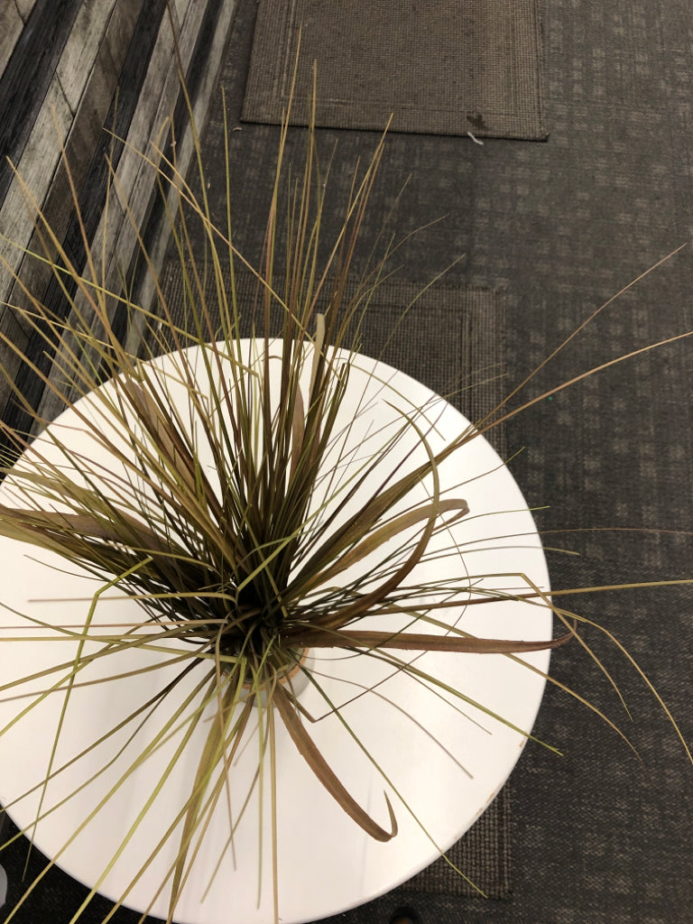 FAUX GRASS IN GREEN VASE W/TWINE.