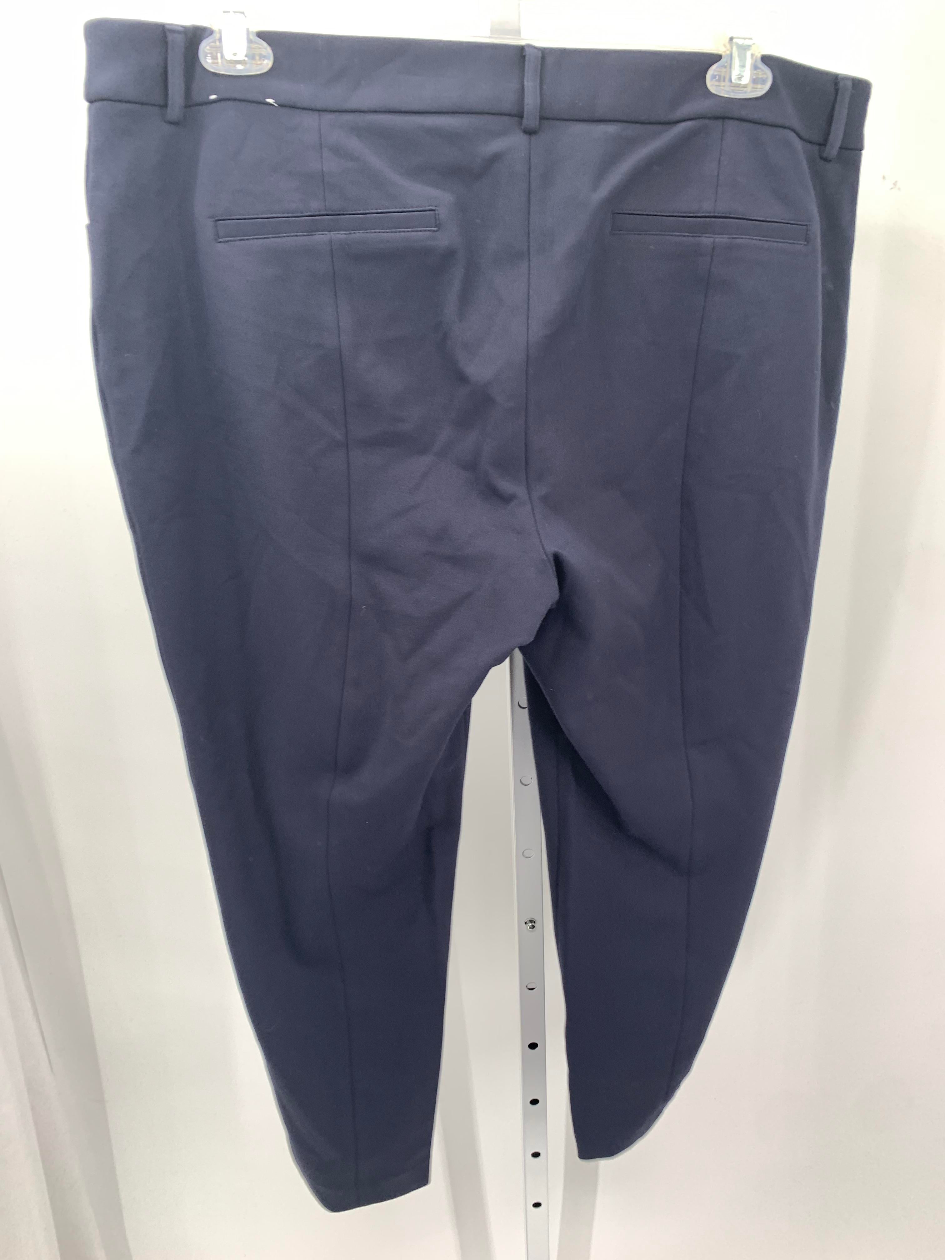 Express Size 18 Short Misses Pants
